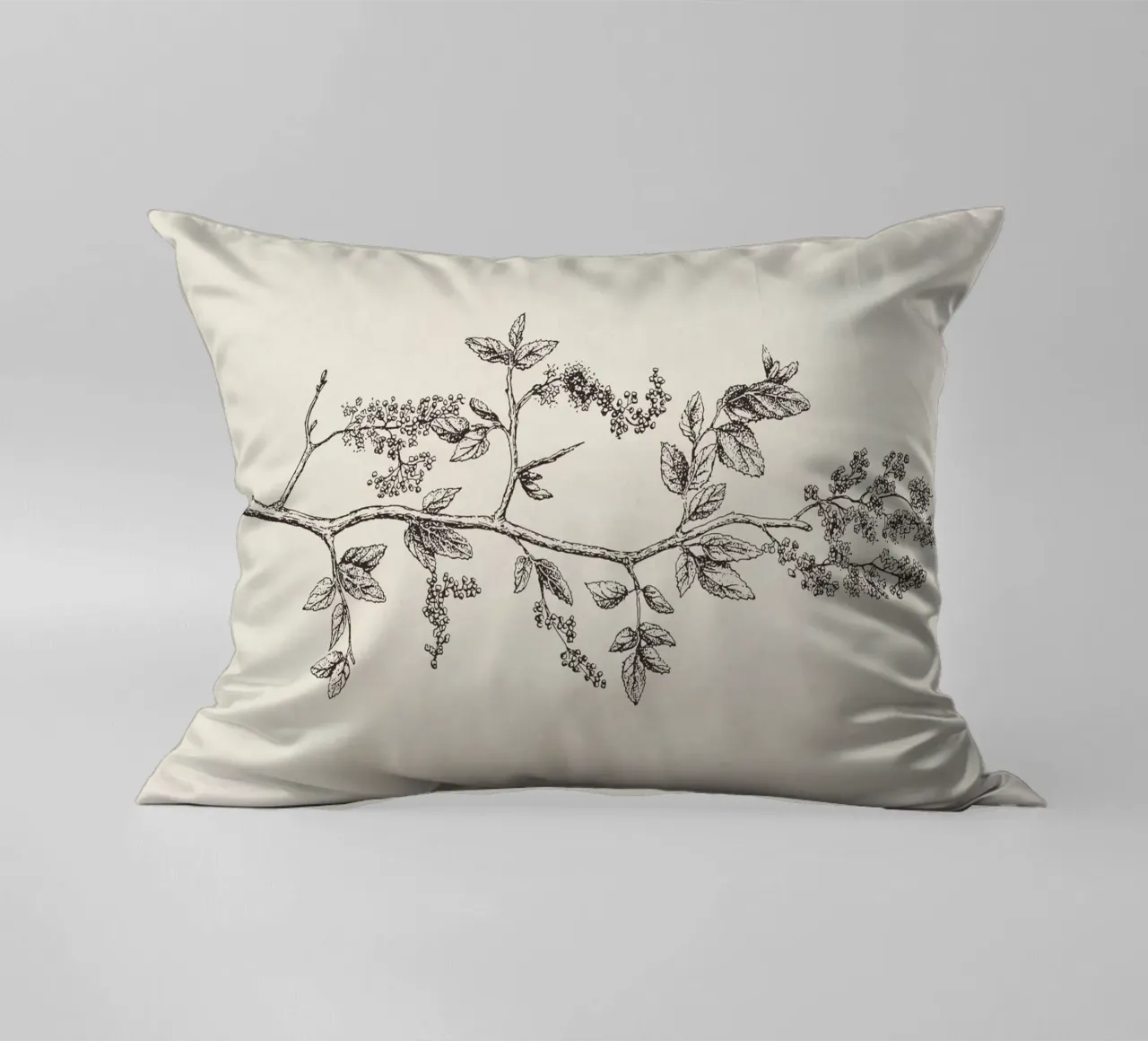 Ceanothus Wildflower Sketch no. 2 cuscino da apoloprints