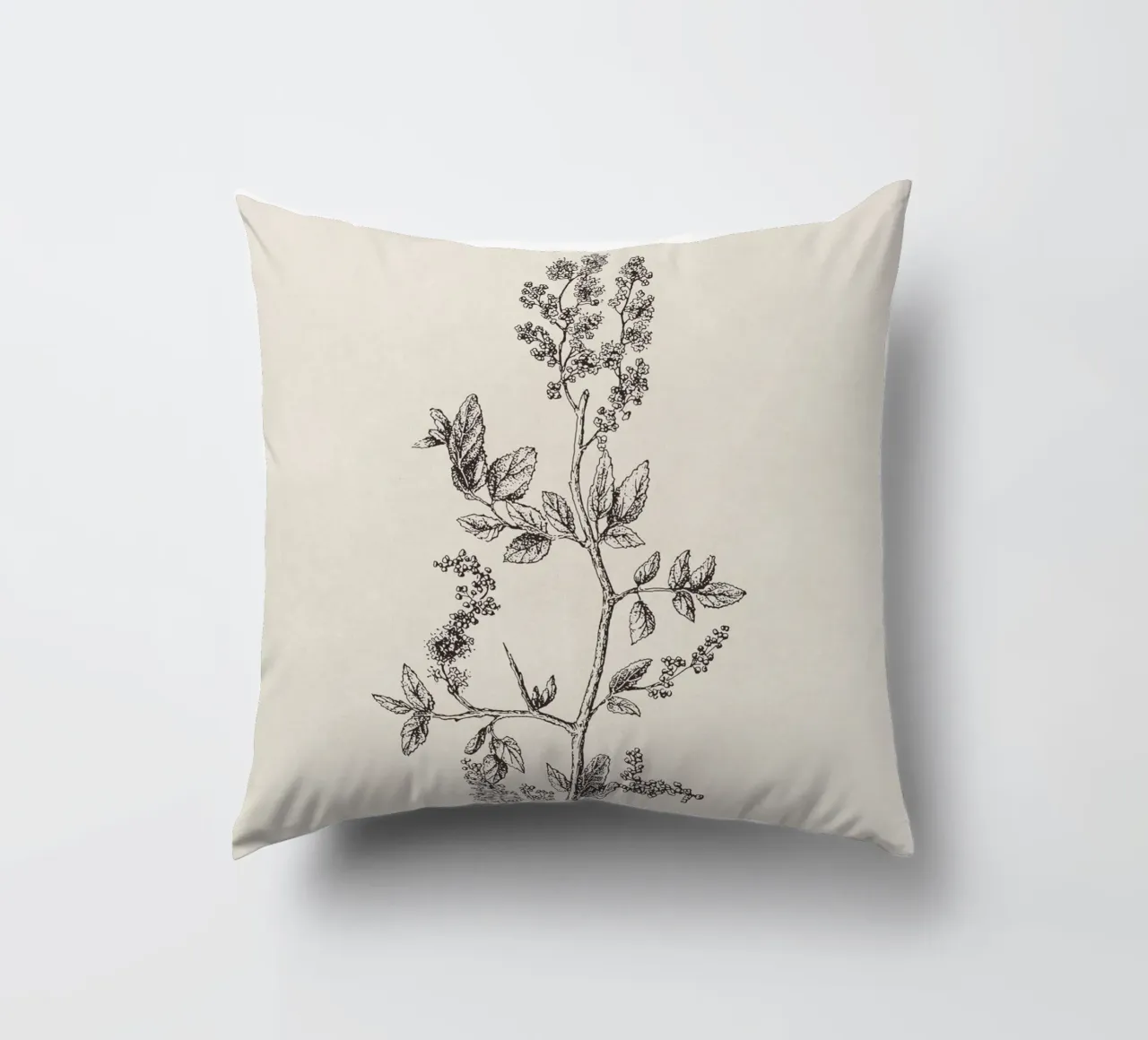 Ceanothus Wildflower Sketch no. 2 cuscino da apoloprints