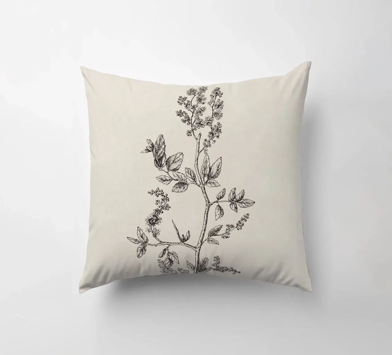 Ceanothus Wildflower Sketch no. 2 cuscino da apoloprints