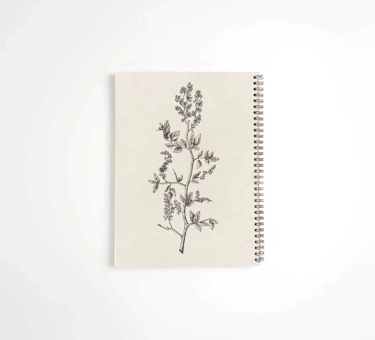 Ceanothus Wildflower Sketch no. 2 spiral notebook by apoloprints