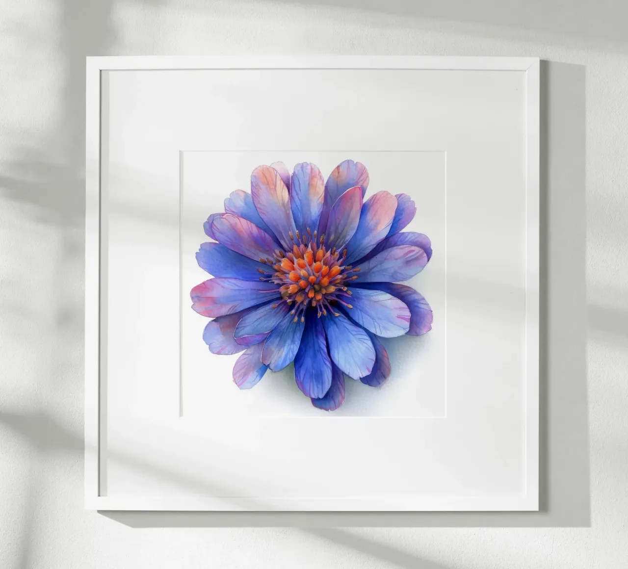 Ice Plant Flower 3 hahnemühle by Bold Blooms