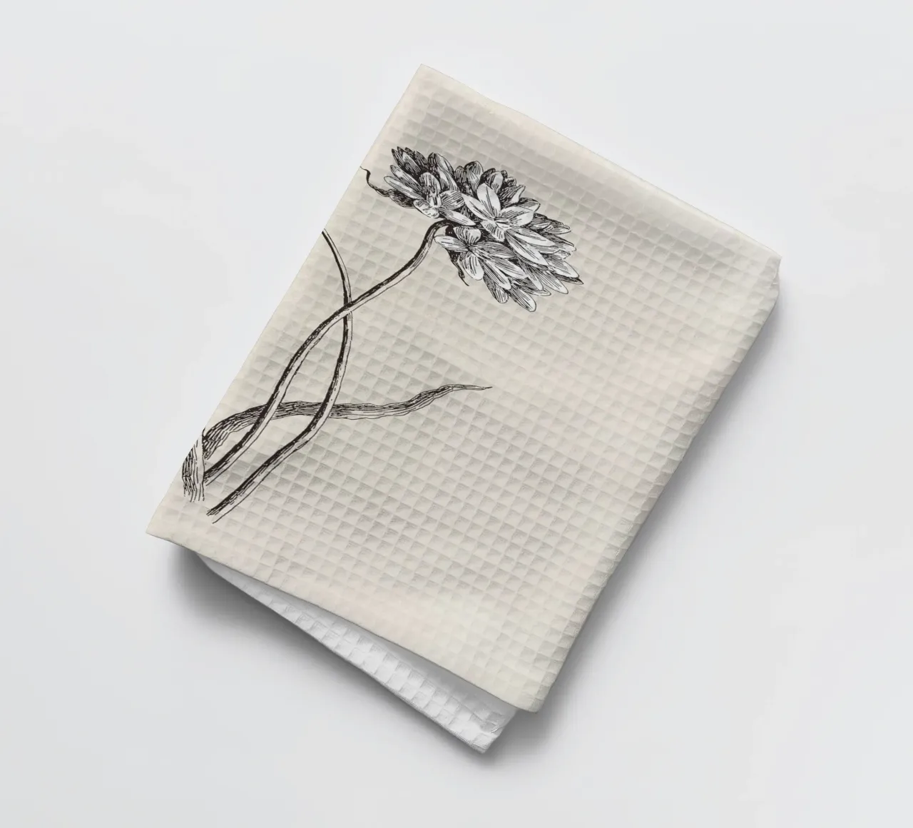 Cluster Lilies Sketch canovaccio da cucina da apoloprints