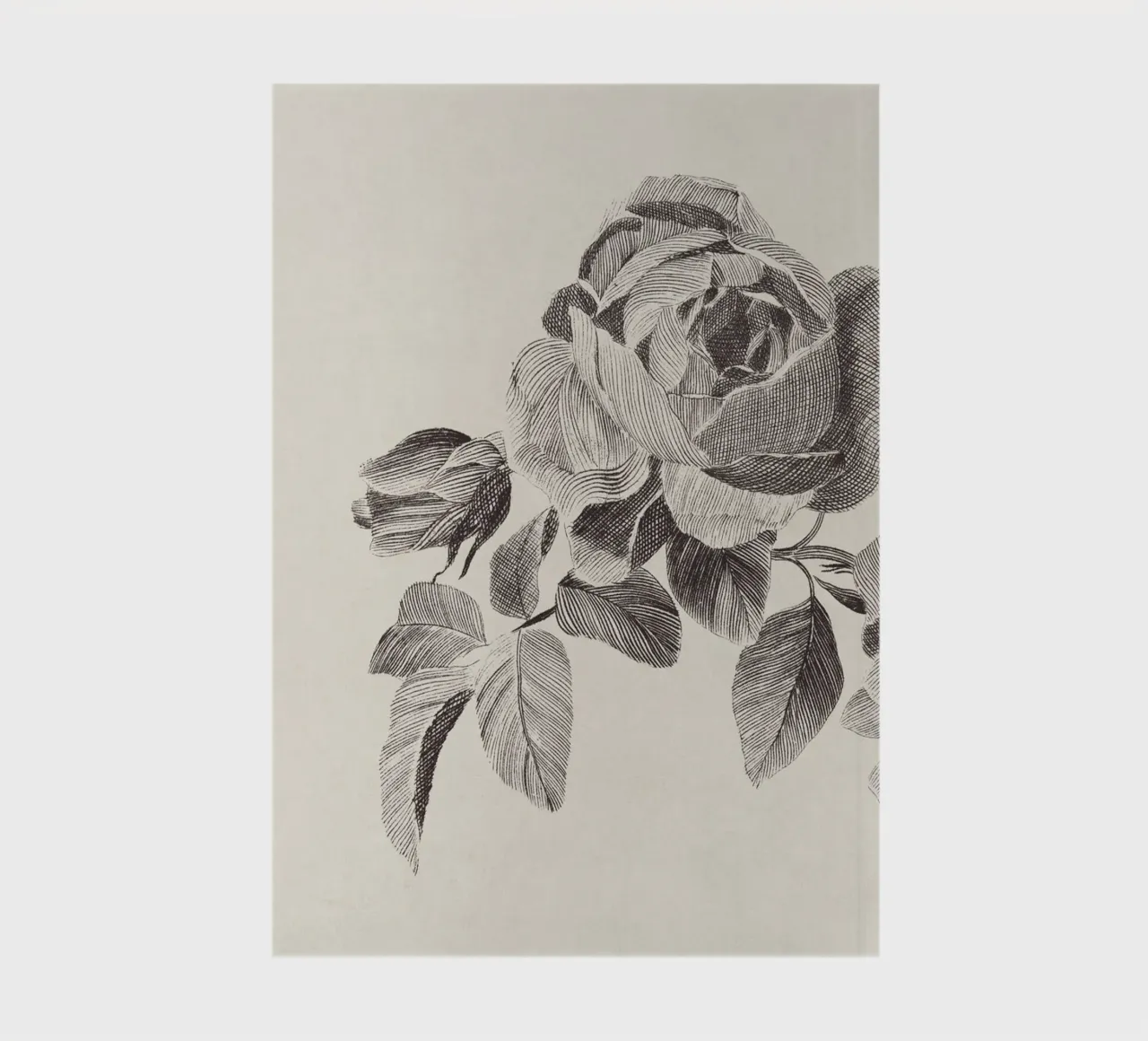 Roses Sketch no. 2 notebook by apoloprints