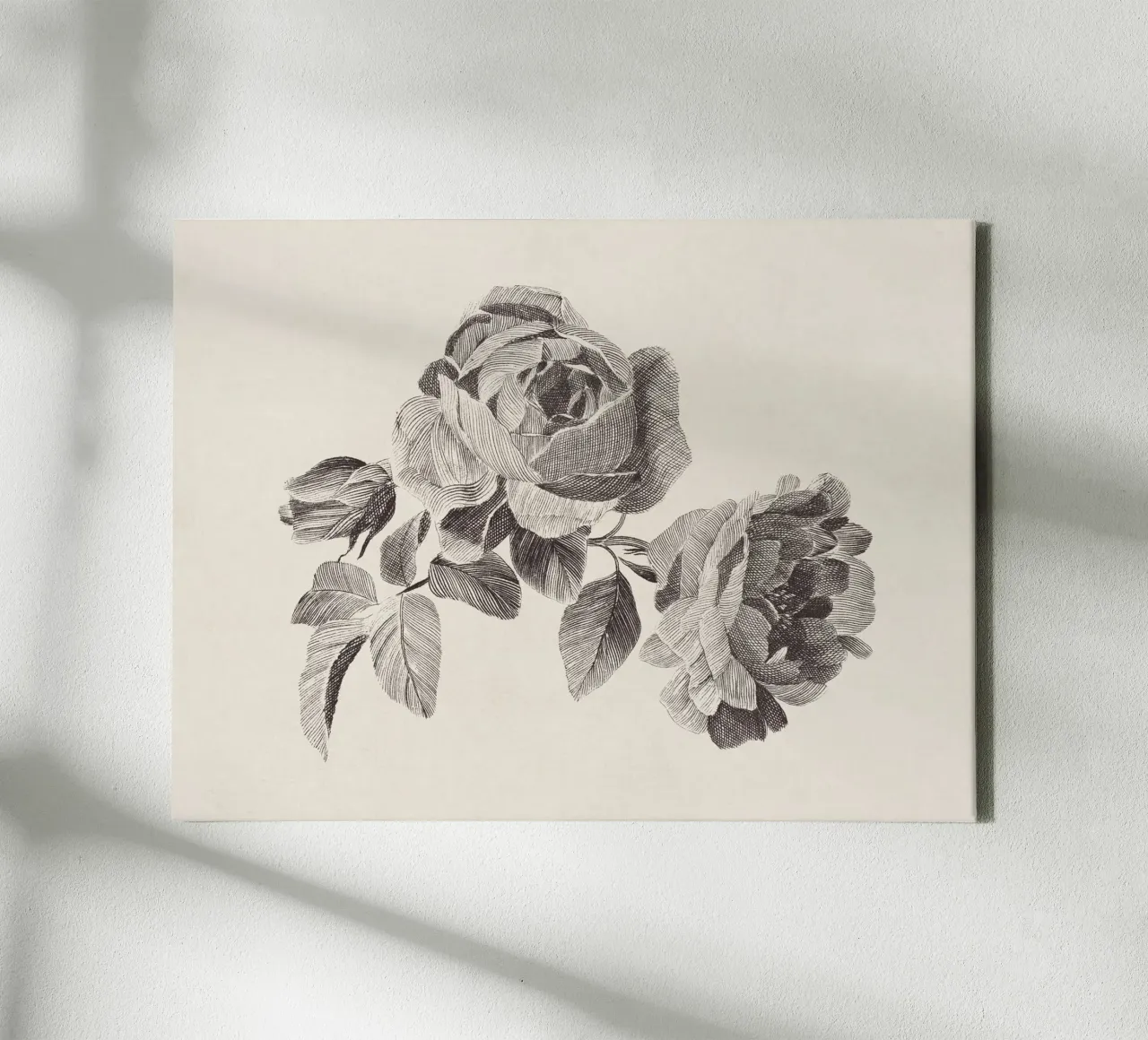 Roses Sketch no. 2 canvas by apoloprints