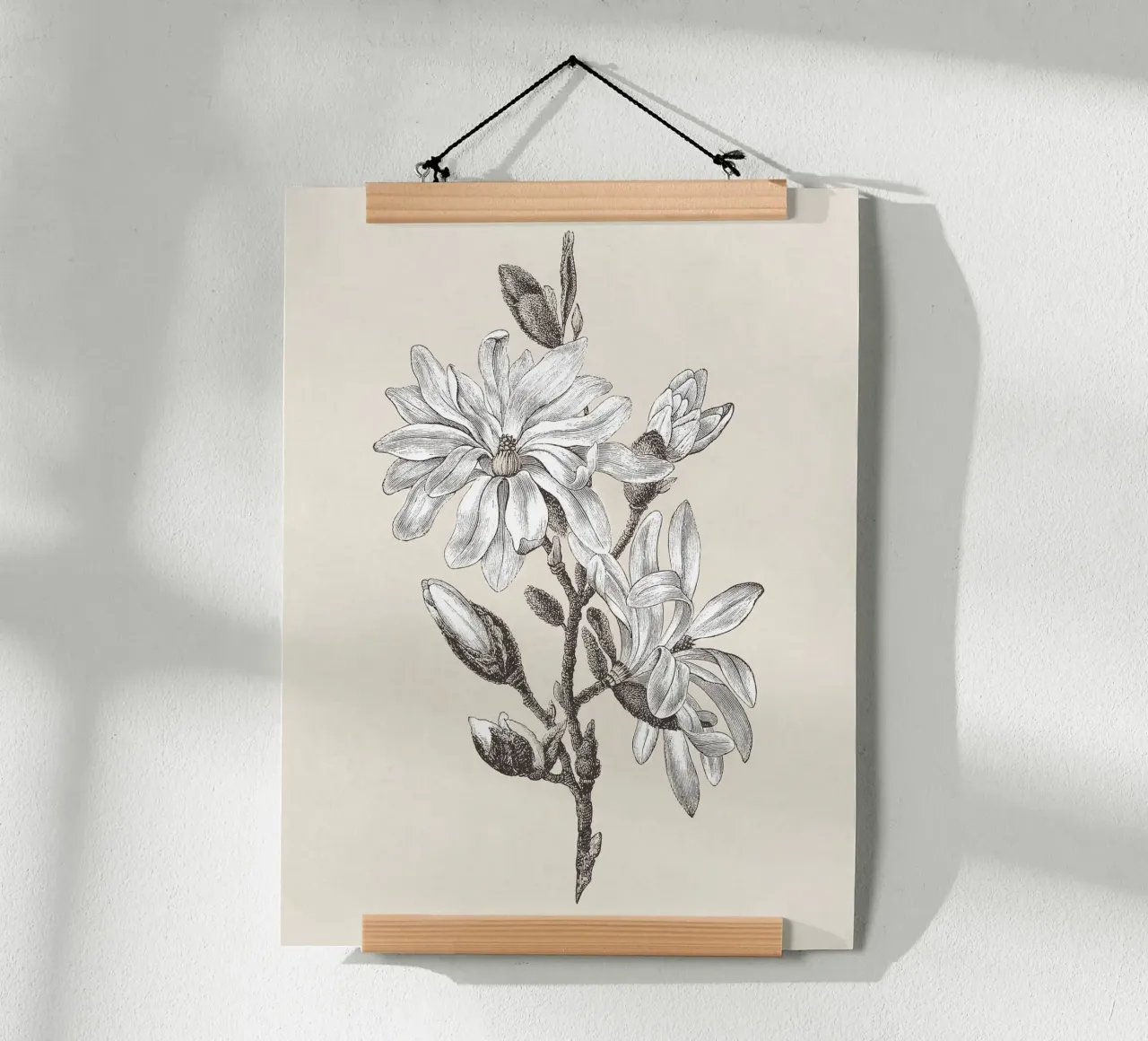 Magnolia Flower Sketch no. 2 carta hahnemühle da apoloprints