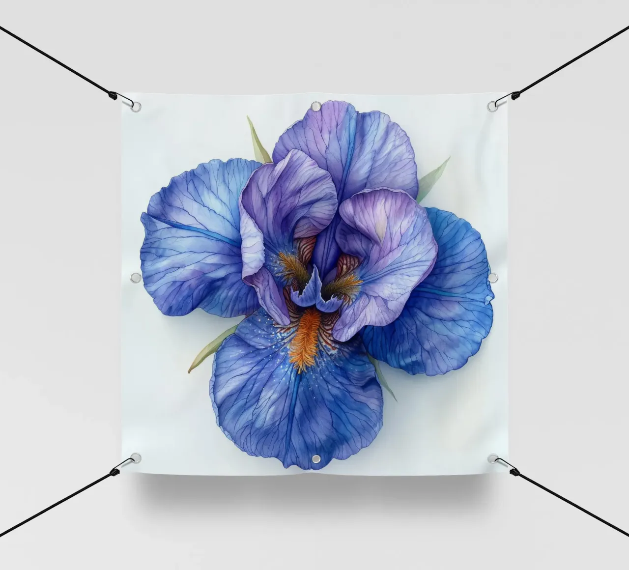 Fiore di iris 2 telo in pvc da Bold Blooms