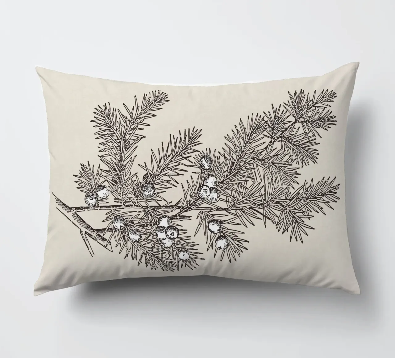 Juniper Branch Sketch no. 2 cuscino da apoloprints