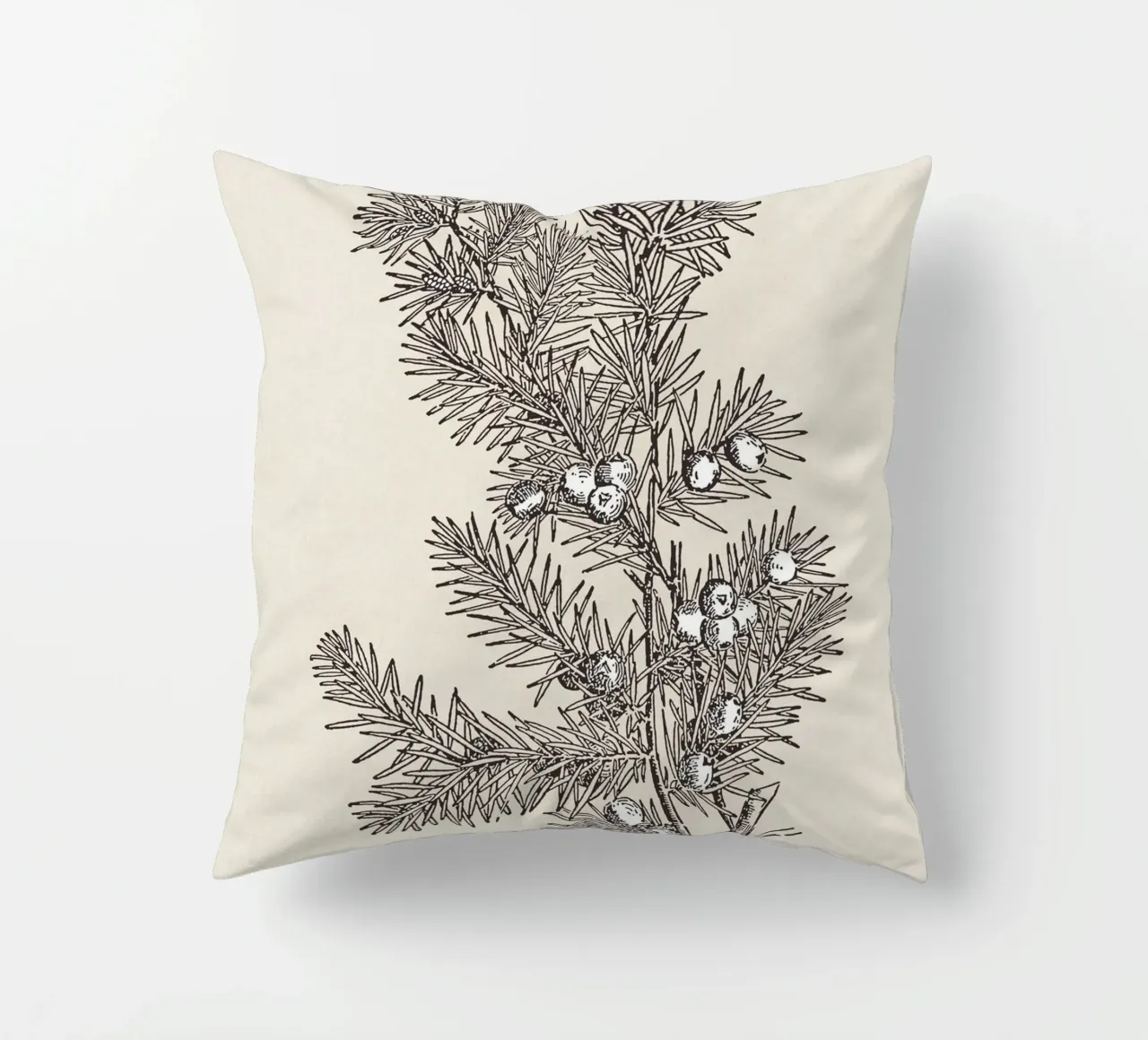 Juniper Branch Sketch no. 2 cuscino da apoloprints