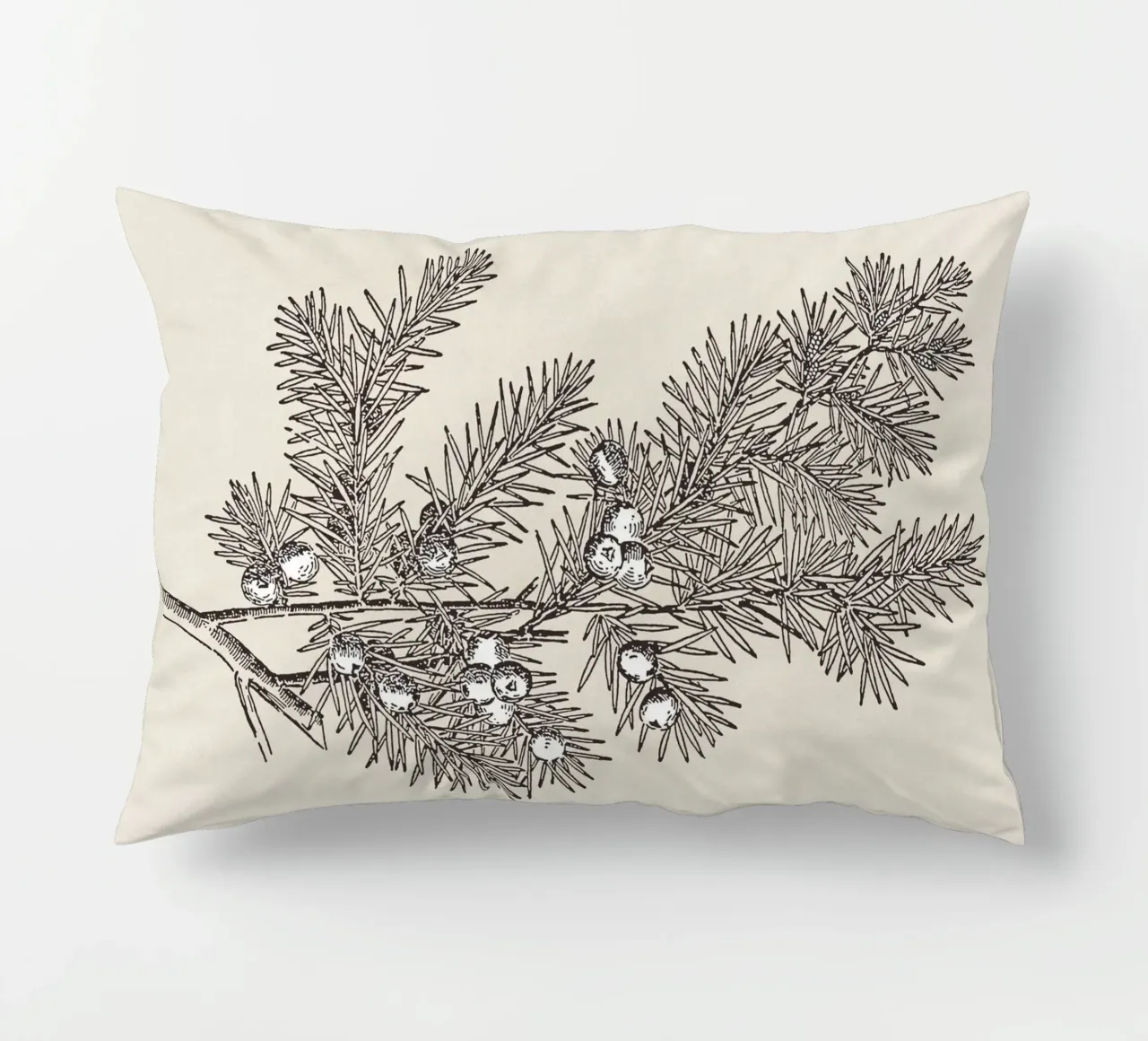 Juniper Branch Sketch no. 2 cuscino da apoloprints