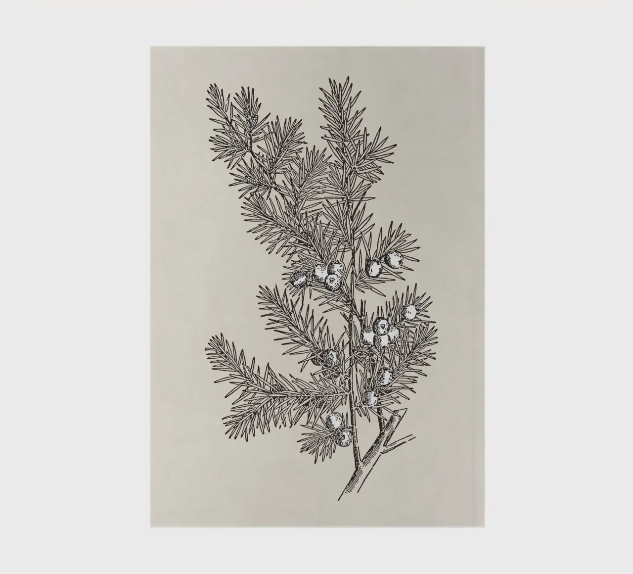 Juniper Branch Sketch no. 2 notebook by apoloprints