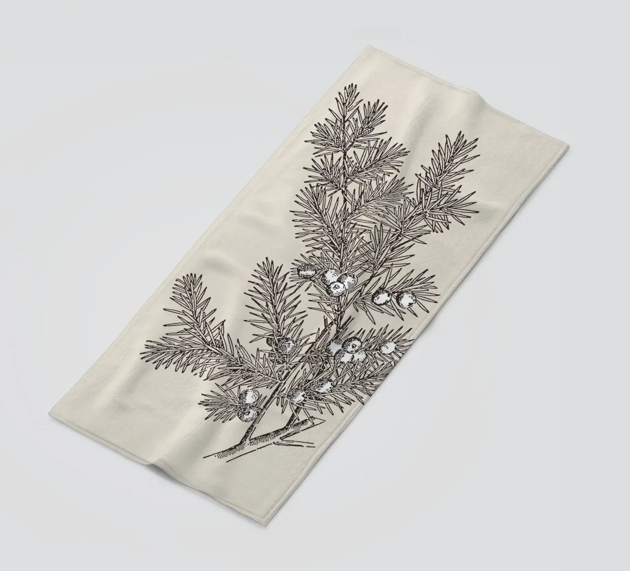 Juniper Branch Sketch no. 2 telo mare da apoloprints