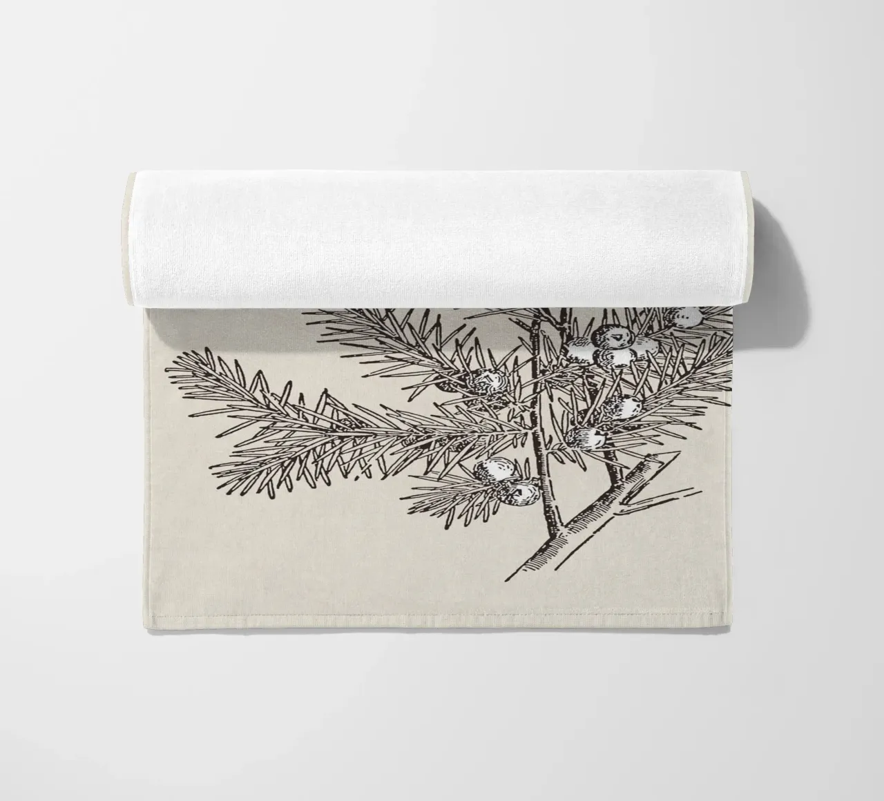 Juniper Branch Sketch no. 2 telo mare da apoloprints
