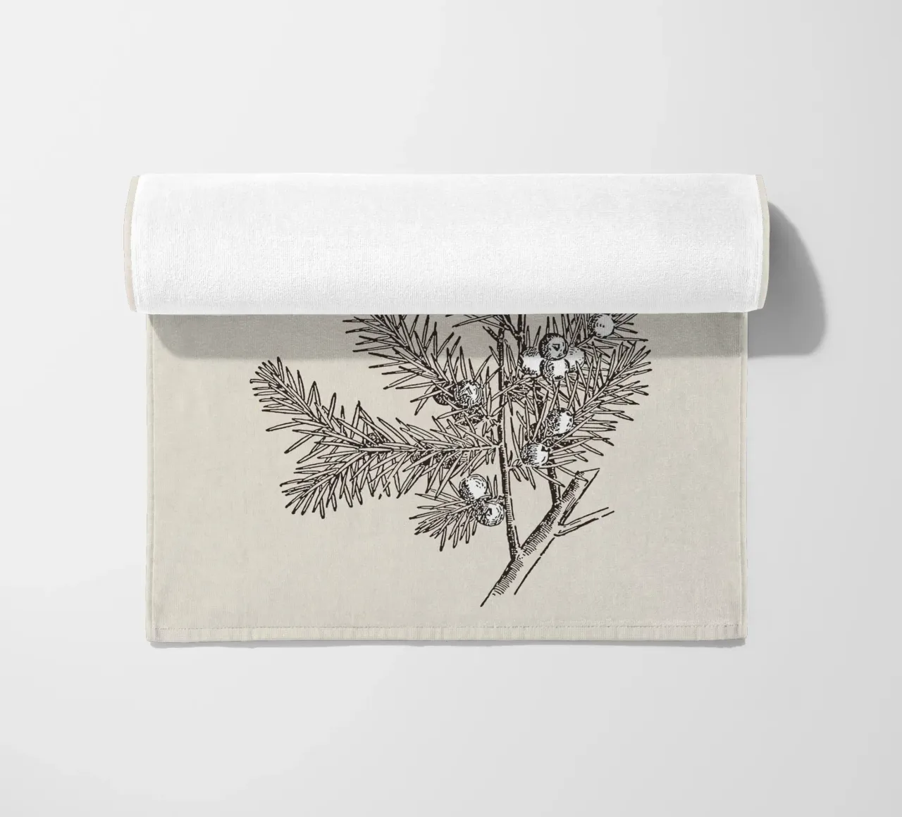 Juniper Branch Sketch no. 2 telo mare da apoloprints