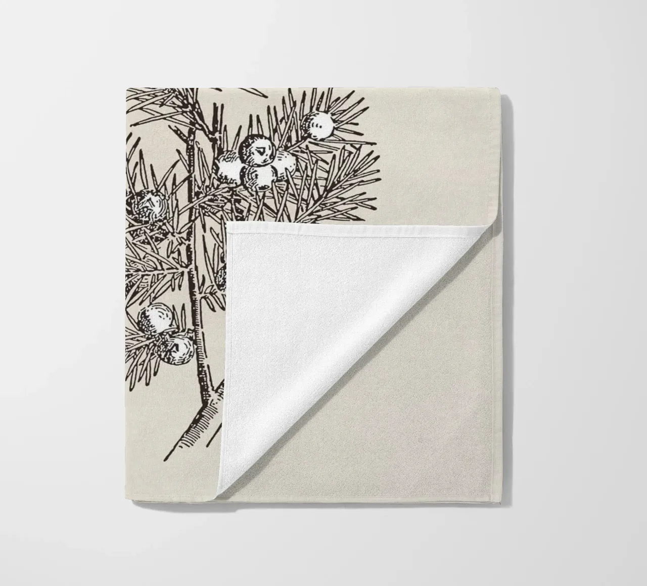 Juniper Branch Sketch no. 2 telo mare da apoloprints