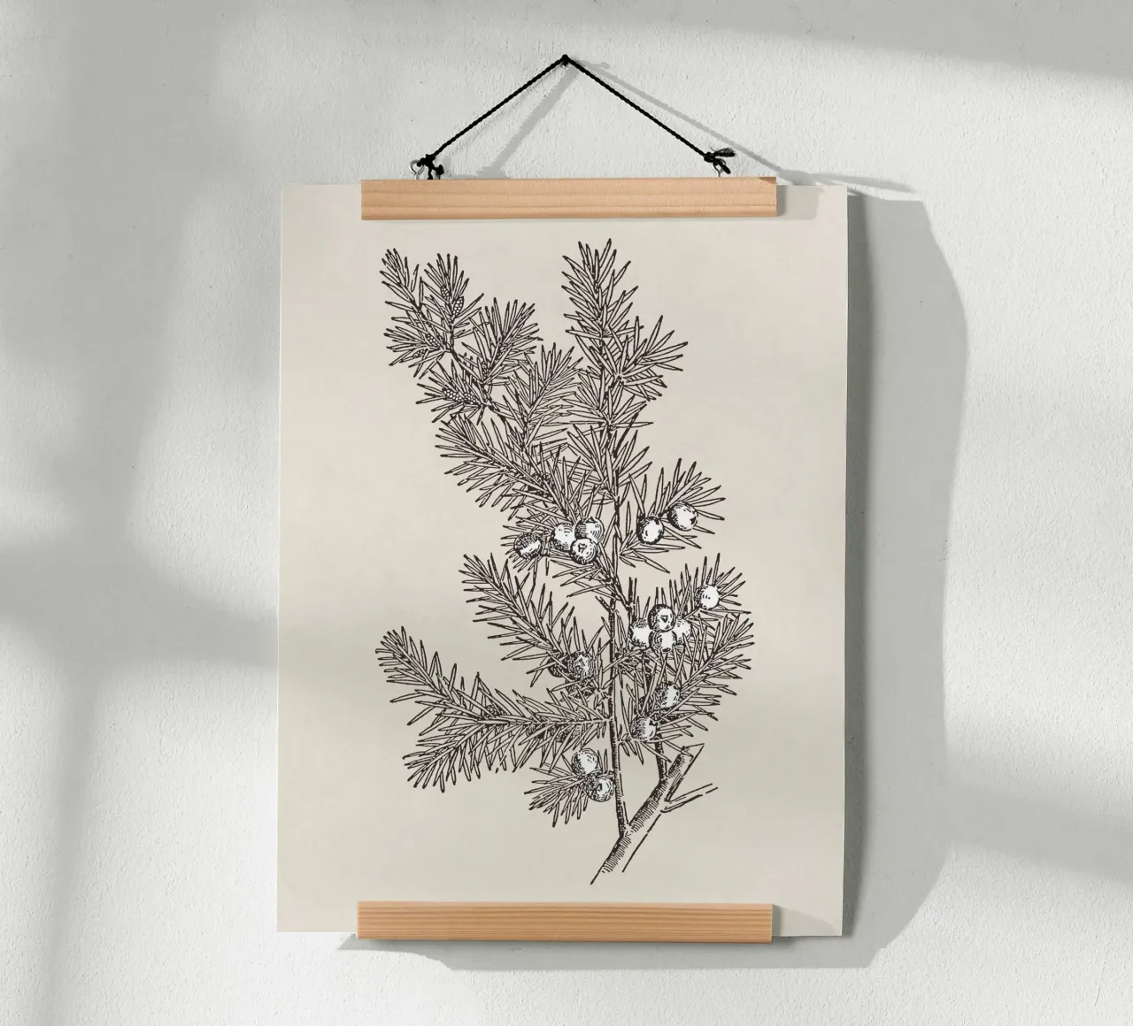 Juniper Branch Sketch no. 2 carta hahnemühle da apoloprints