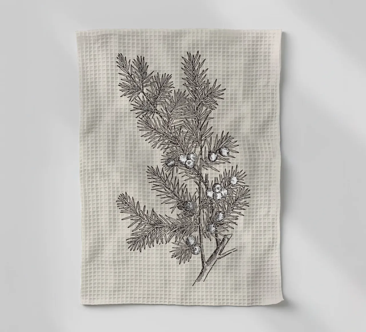 Juniper Branch Sketch no. 2 canovaccio da cucina da apoloprints