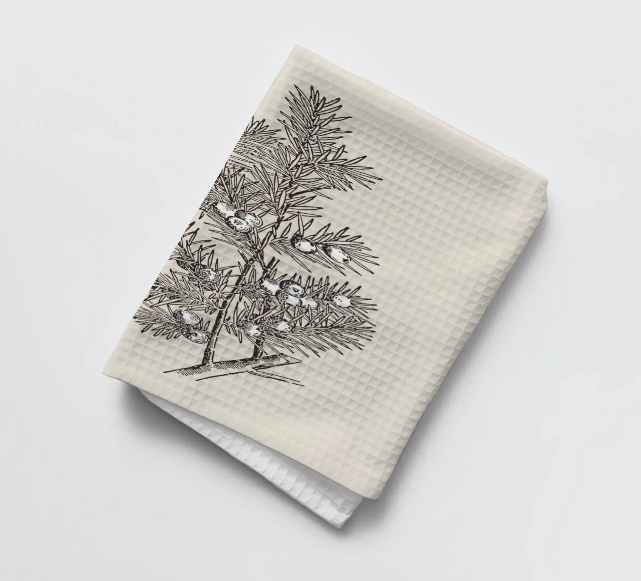 Juniper Branch Sketch no. 2 canovaccio da cucina da apoloprints