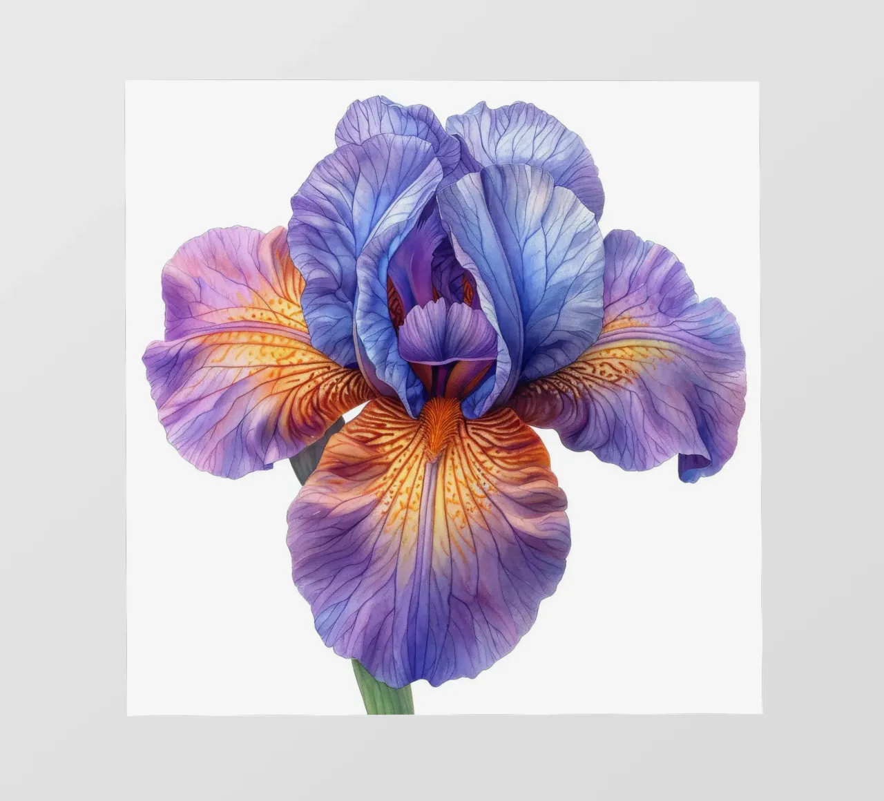 Iris Flower 3 photo wallpaper by Bold Blooms