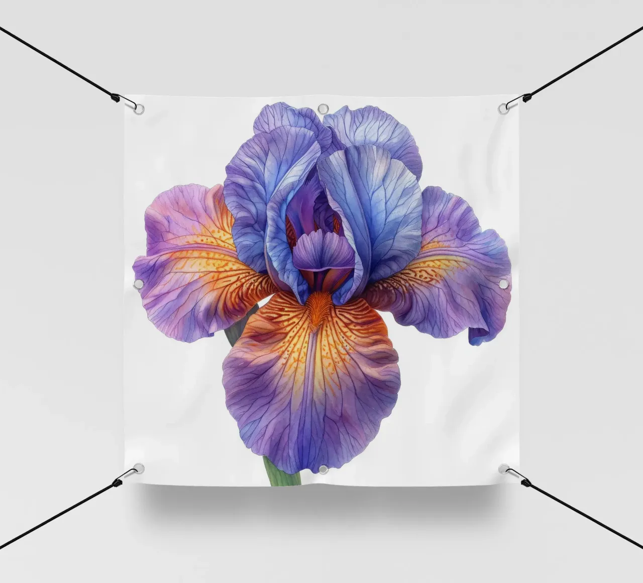 Fiore di iris 3 telo in pvc da Bold Blooms