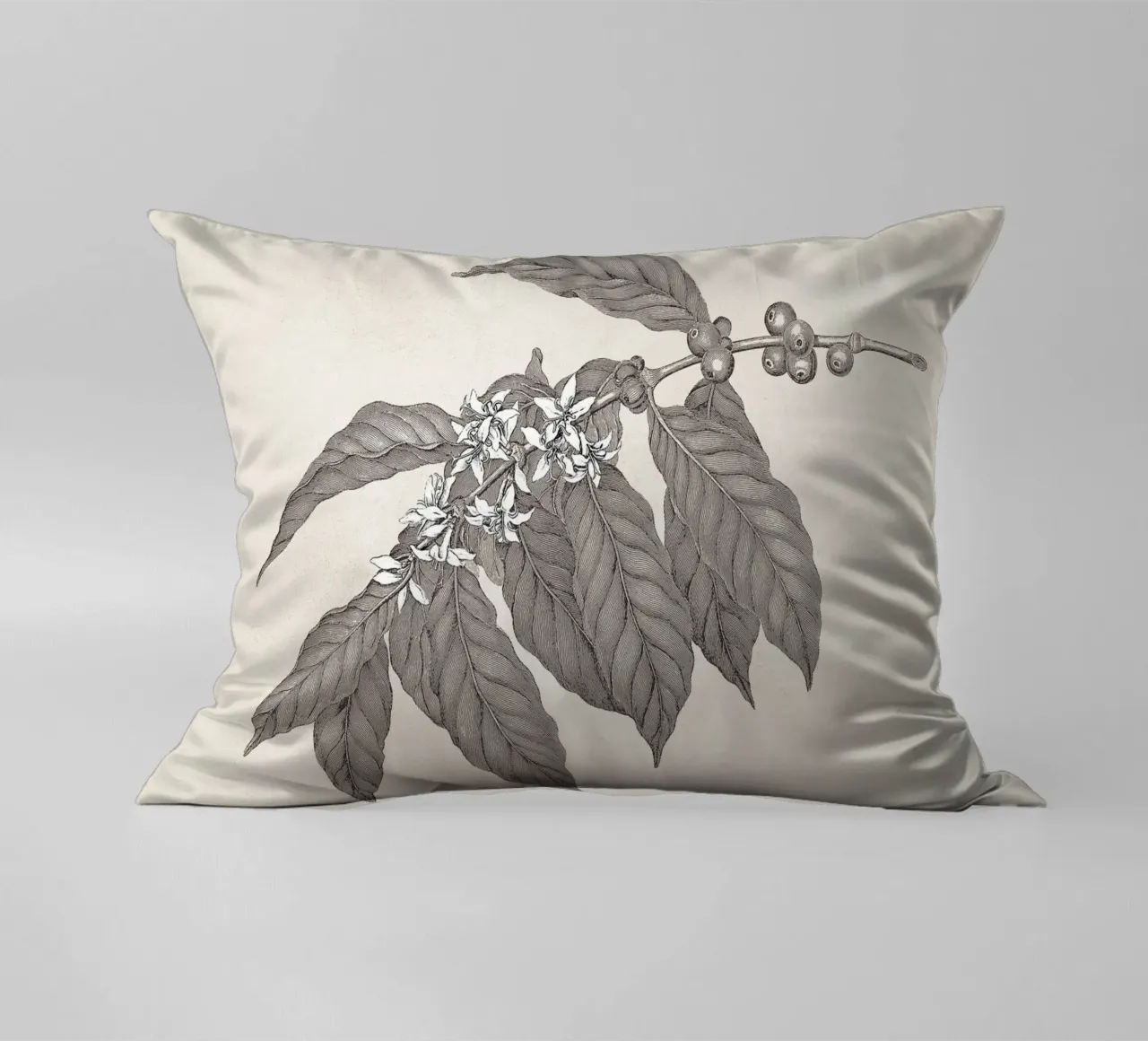 Coffee Branch Sketch no. 3 cuscino da apoloprints