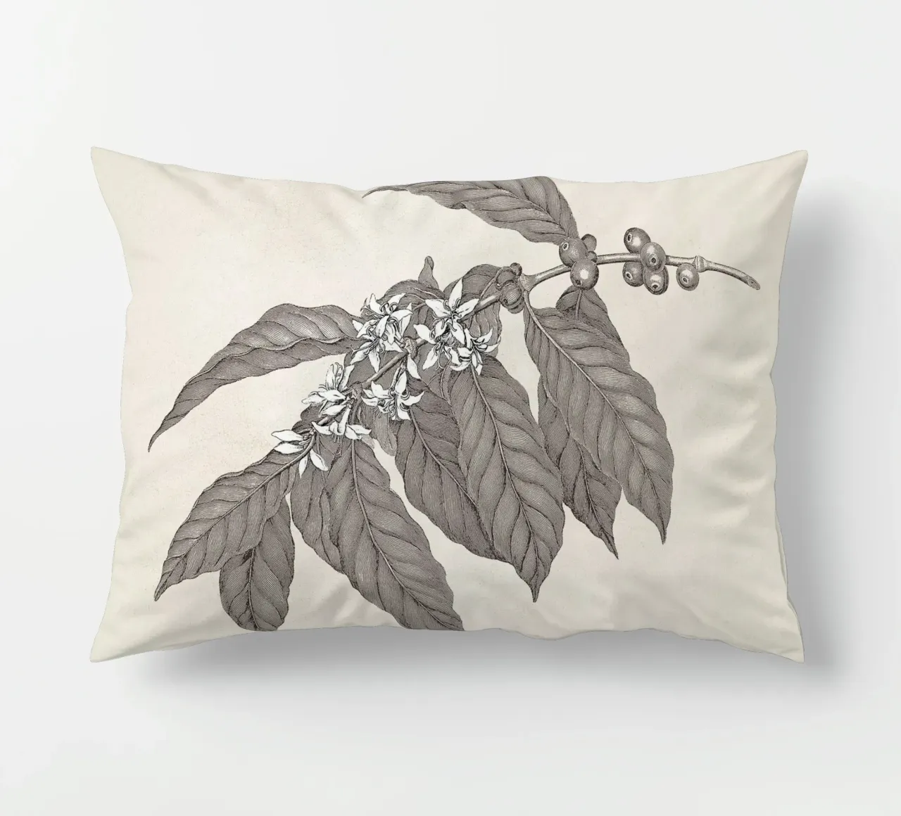 Coffee Branch Sketch no. 3 cuscino da apoloprints