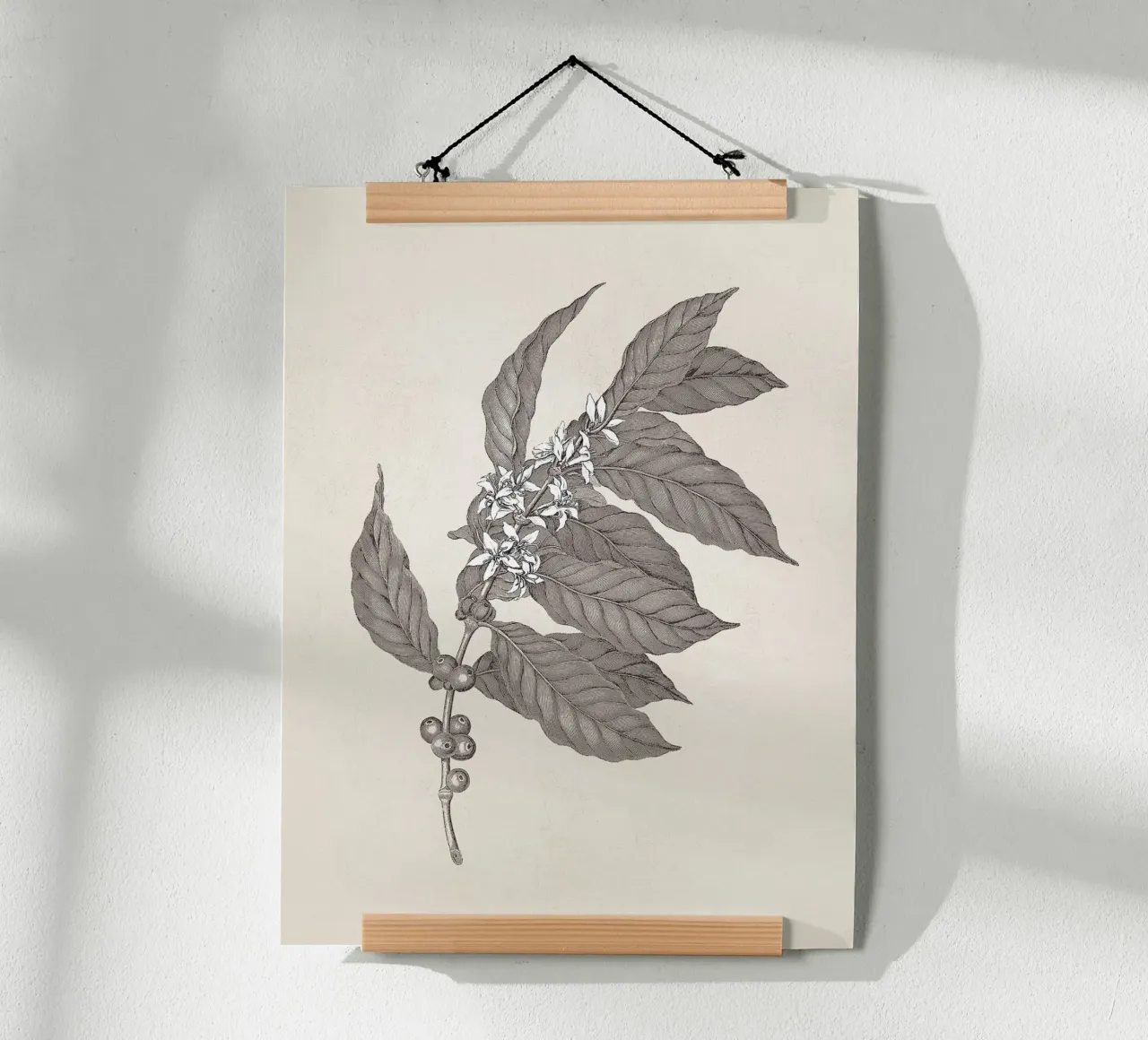Coffee Branch Sketch no. 3 poster con telaio in legno da apoloprints