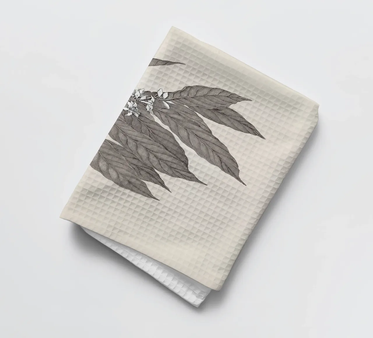 Coffee Branch Sketch no. 3 canovaccio da cucina da apoloprints