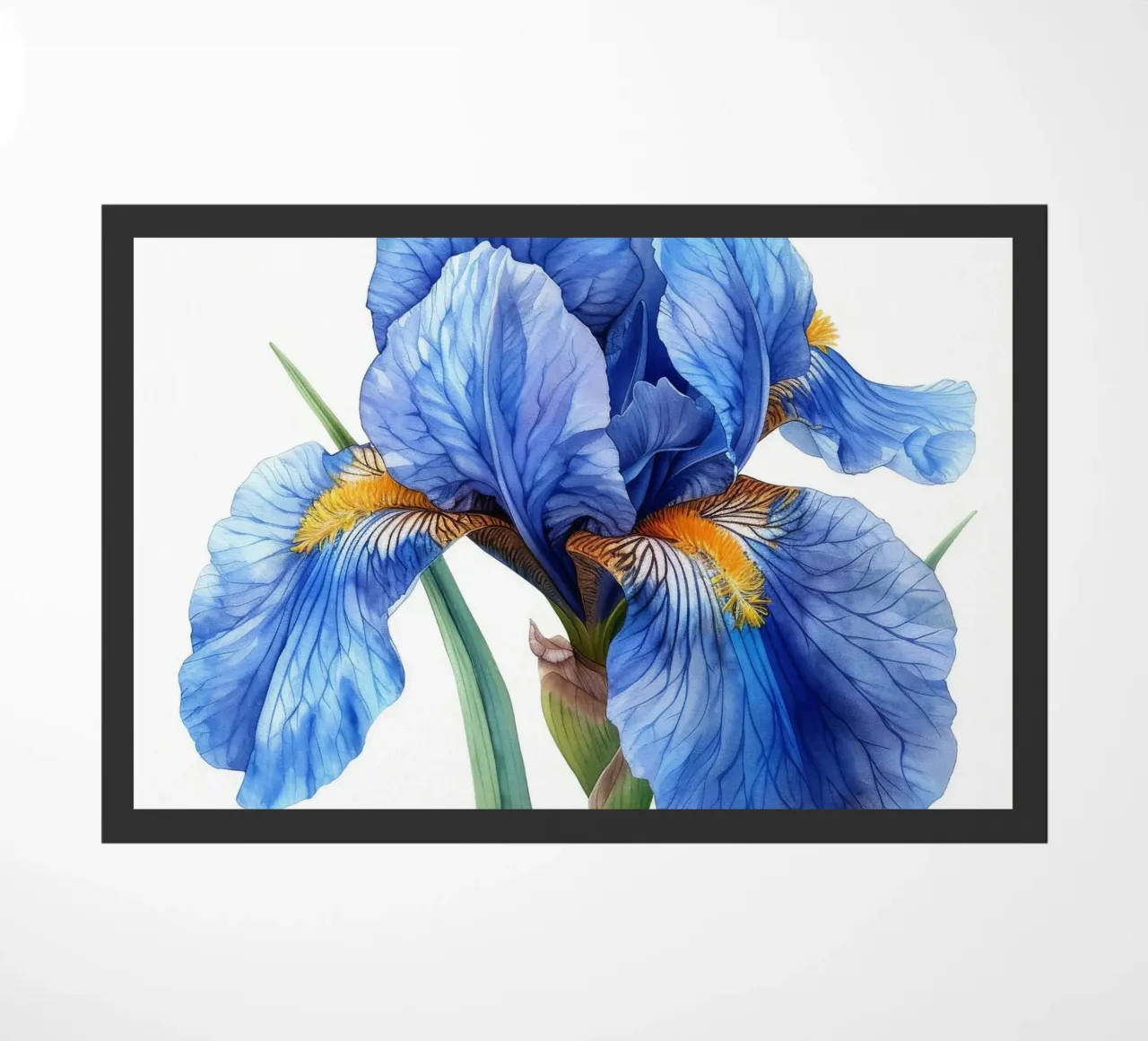 Fiore di iris 4 zerbino da Bold Blooms