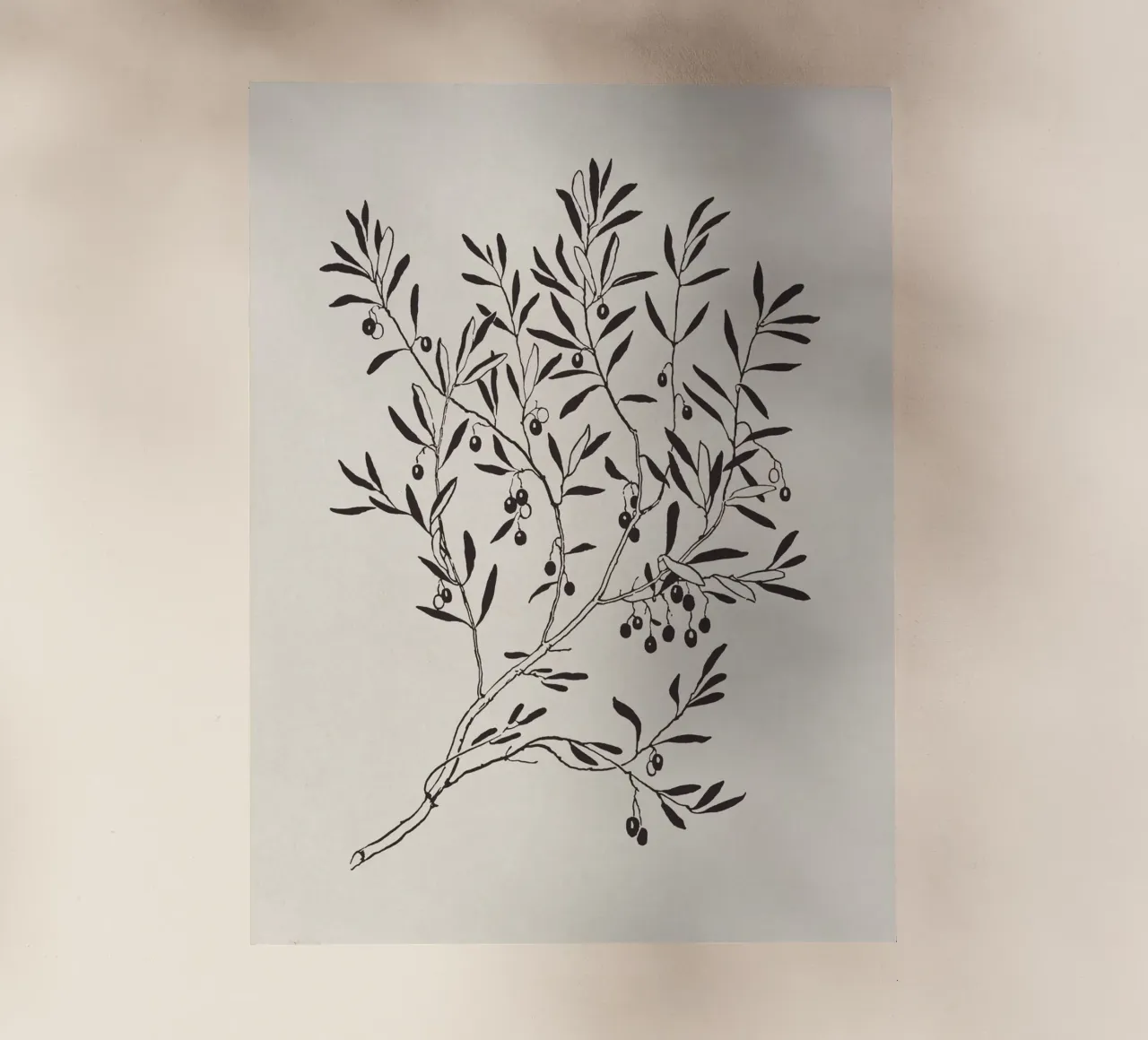 Olive Branch Sketch no. 3 pellicola backlit da apoloprints