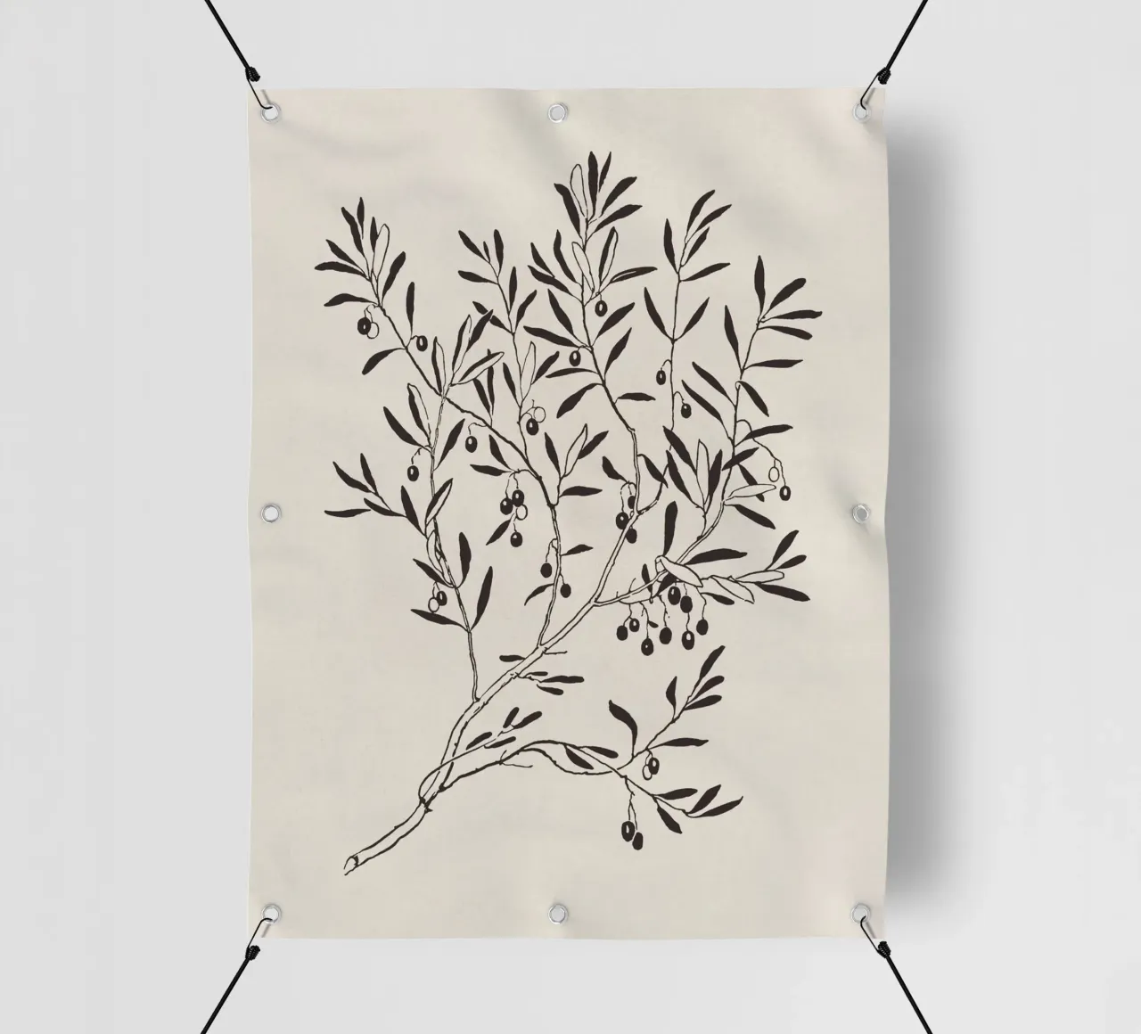 Olive Branch Sketch no. 3 telo in pvc da apoloprints