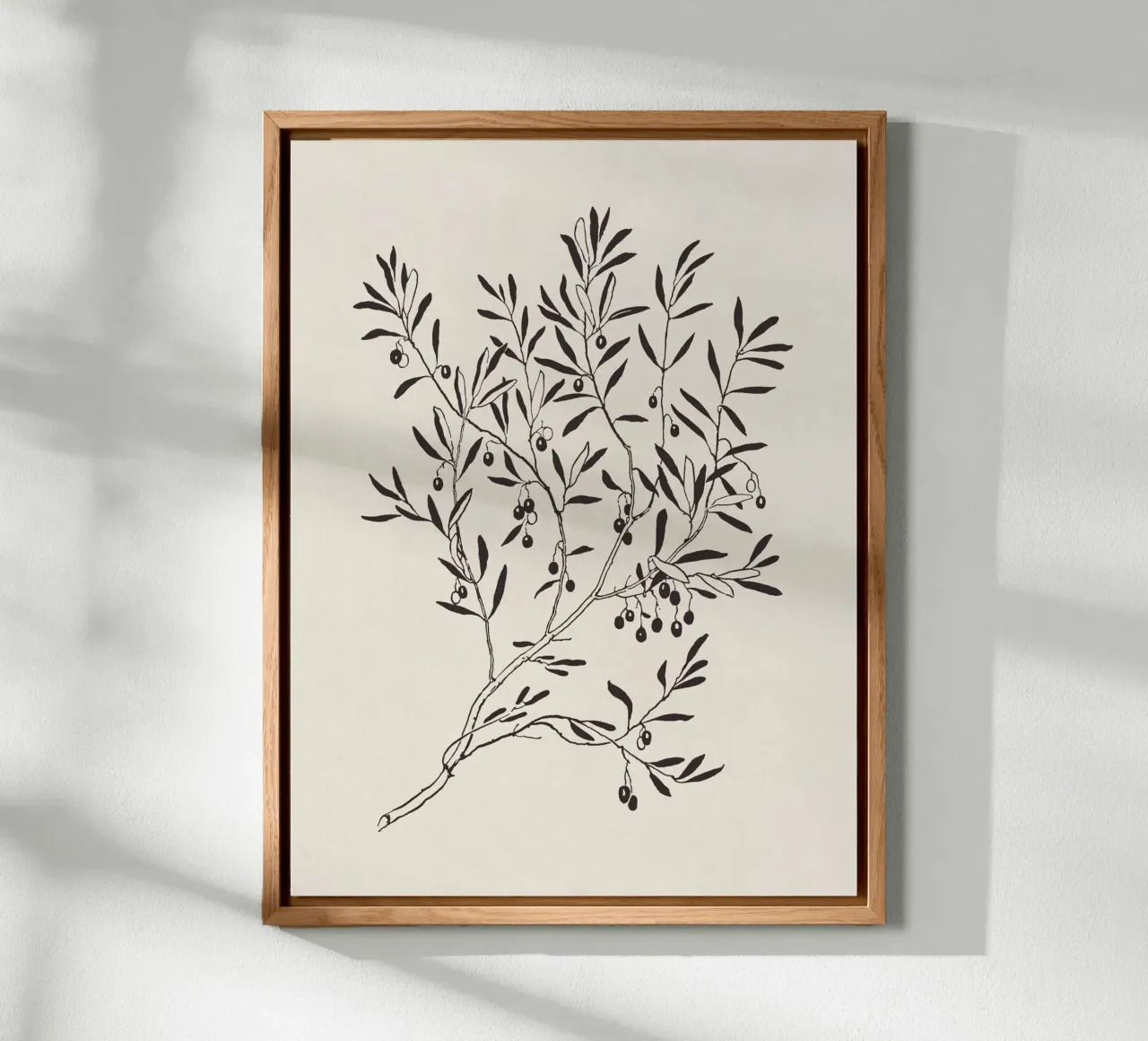 Olive Branch Sketch no. 3 alluminio dibond da apoloprints