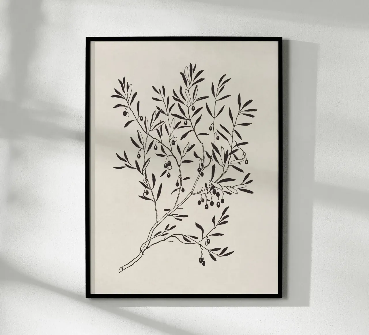 Olive Branch Sketch no. 3 carta hahnemühle da apoloprints