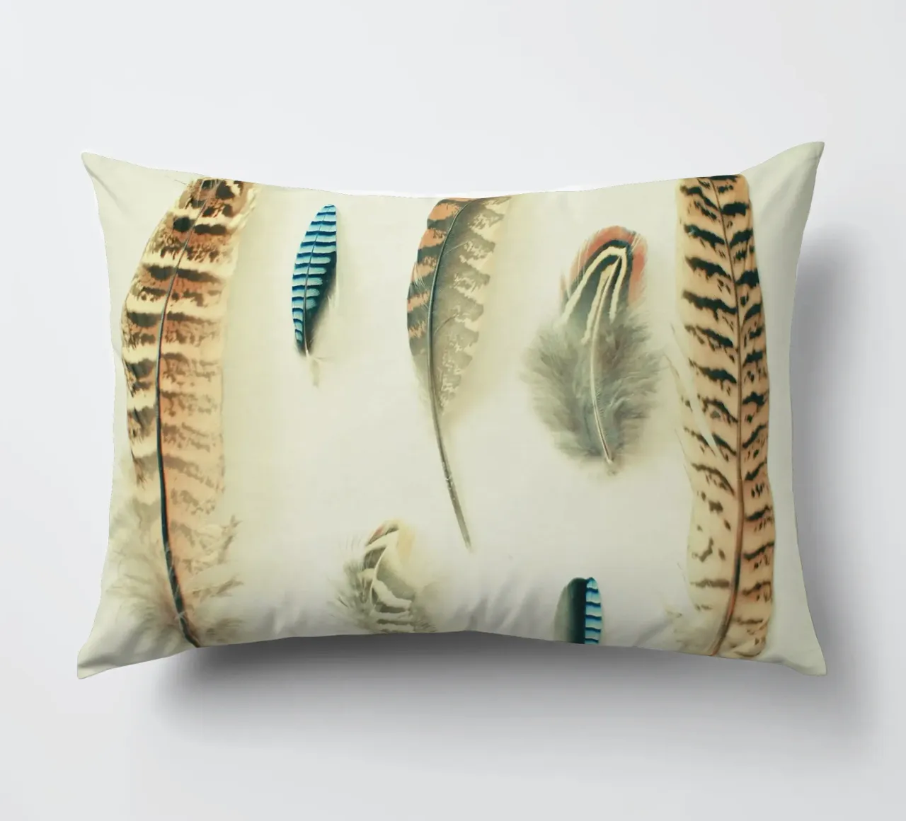 The Feather Collection decorative cushion by Cassia Beck Photography