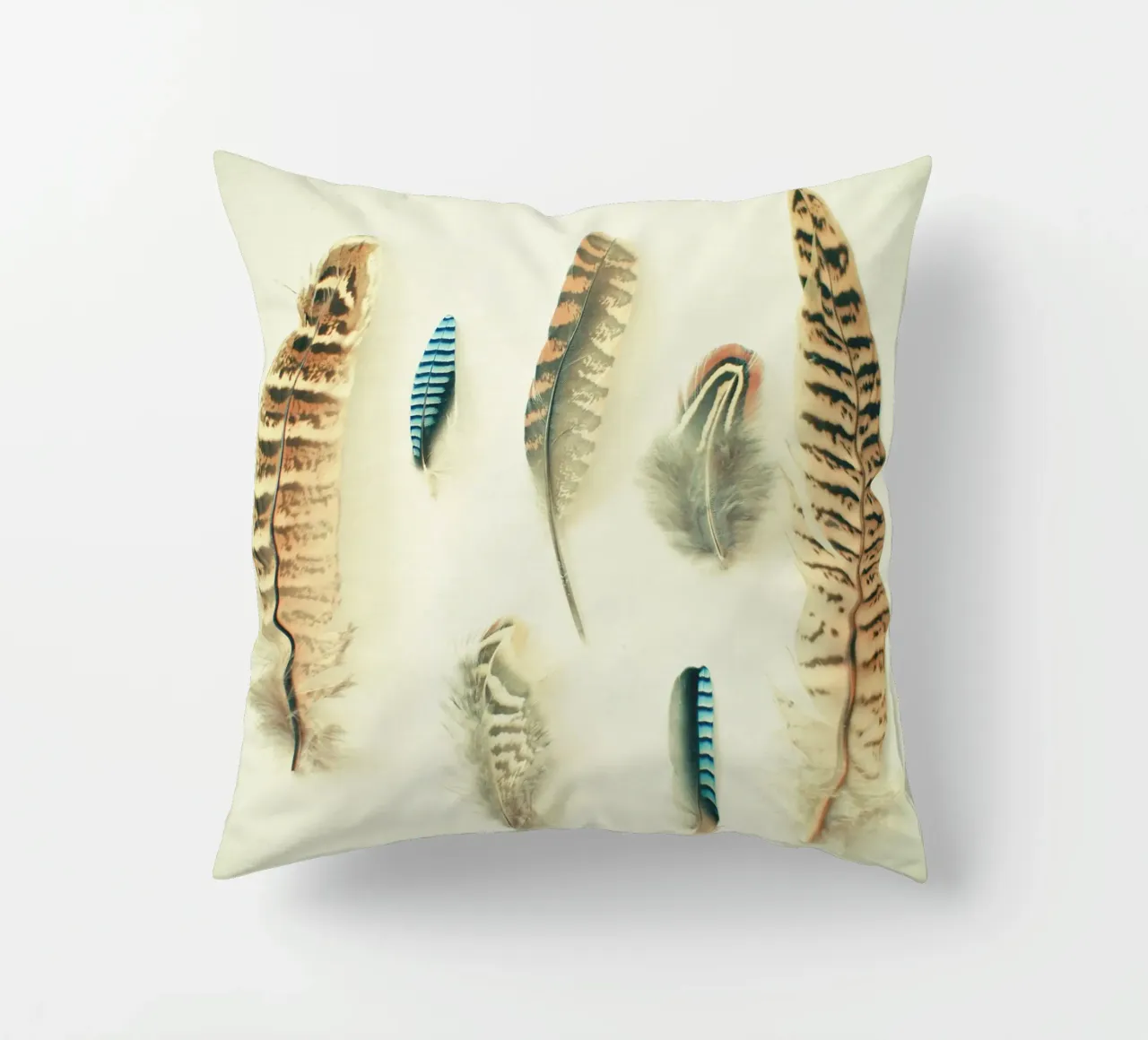 The Feather Collection decorative cushion by Cassia Beck Photography