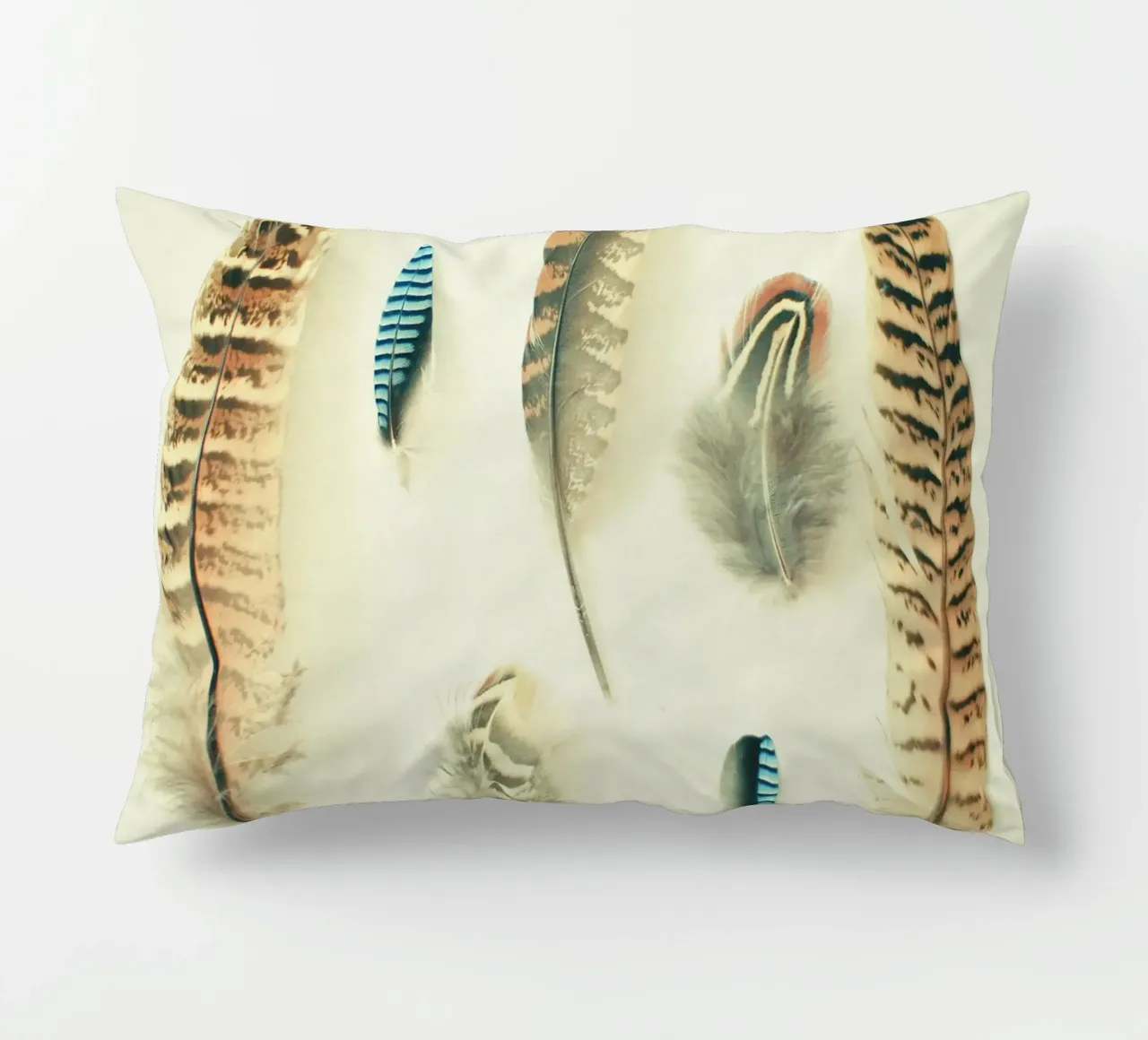 The Feather Collection decorative cushion by Cassia Beck Photography