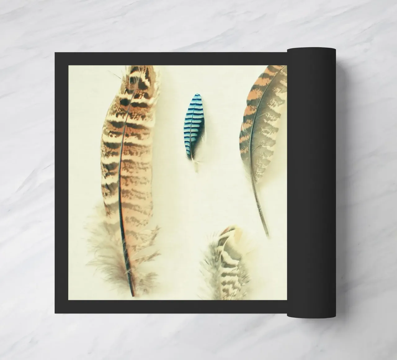 La collezione di piume zerbino da Cassia Beck Photography