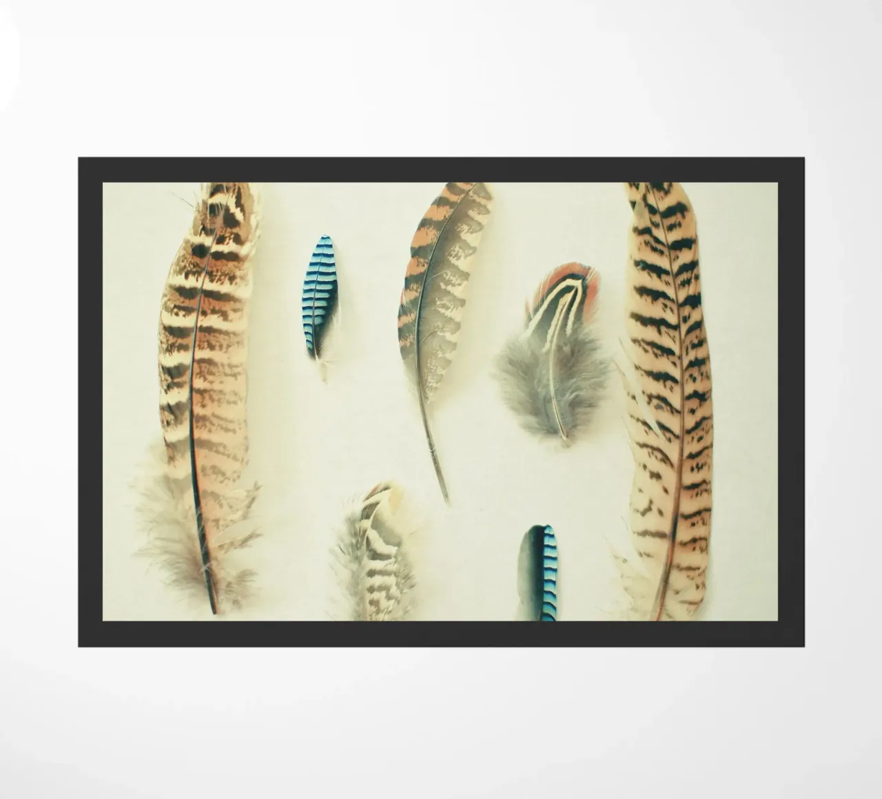 La collezione di piume zerbino da Cassia Beck Photography