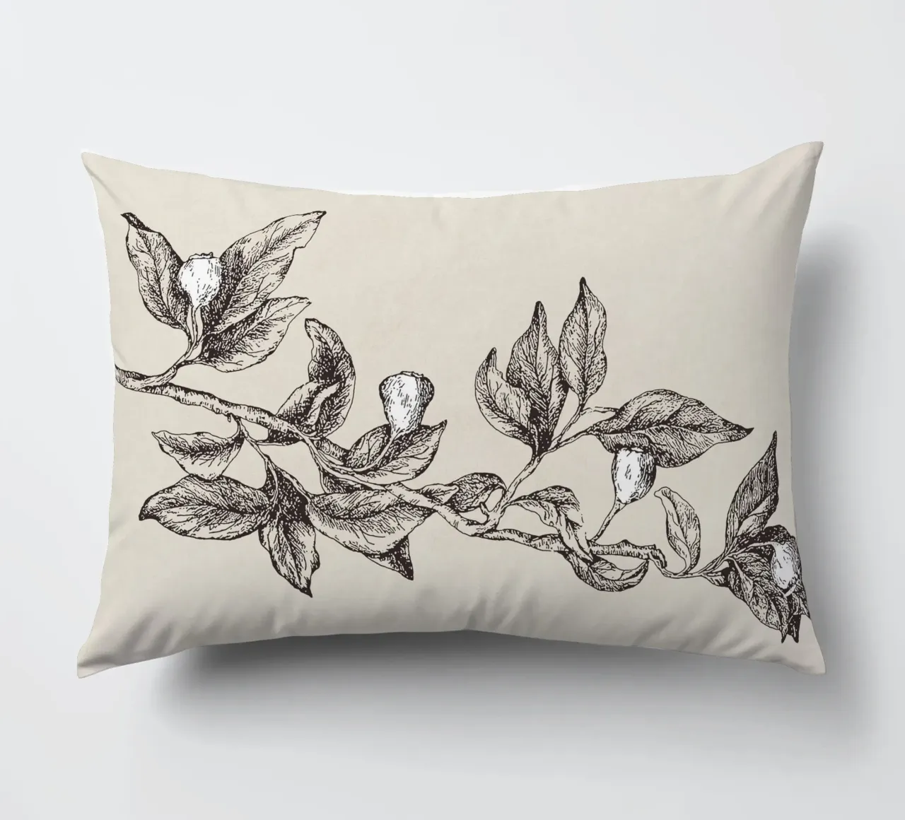 Pyrularia Botanical Sketch cuscino da apoloprints