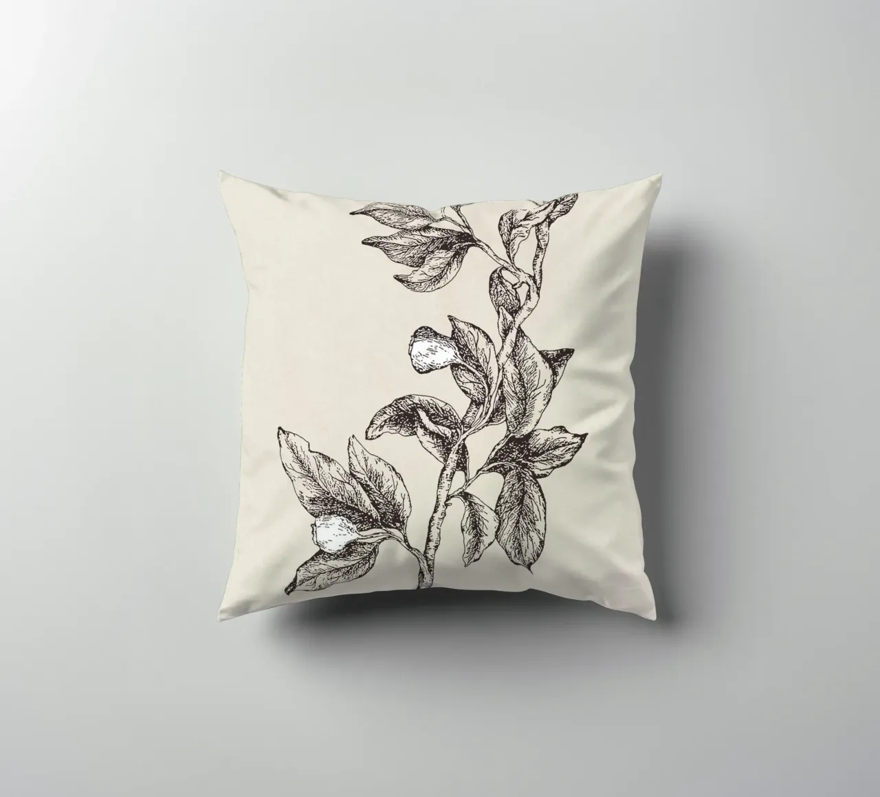 Pyrularia Botanical Sketch cuscino da apoloprints