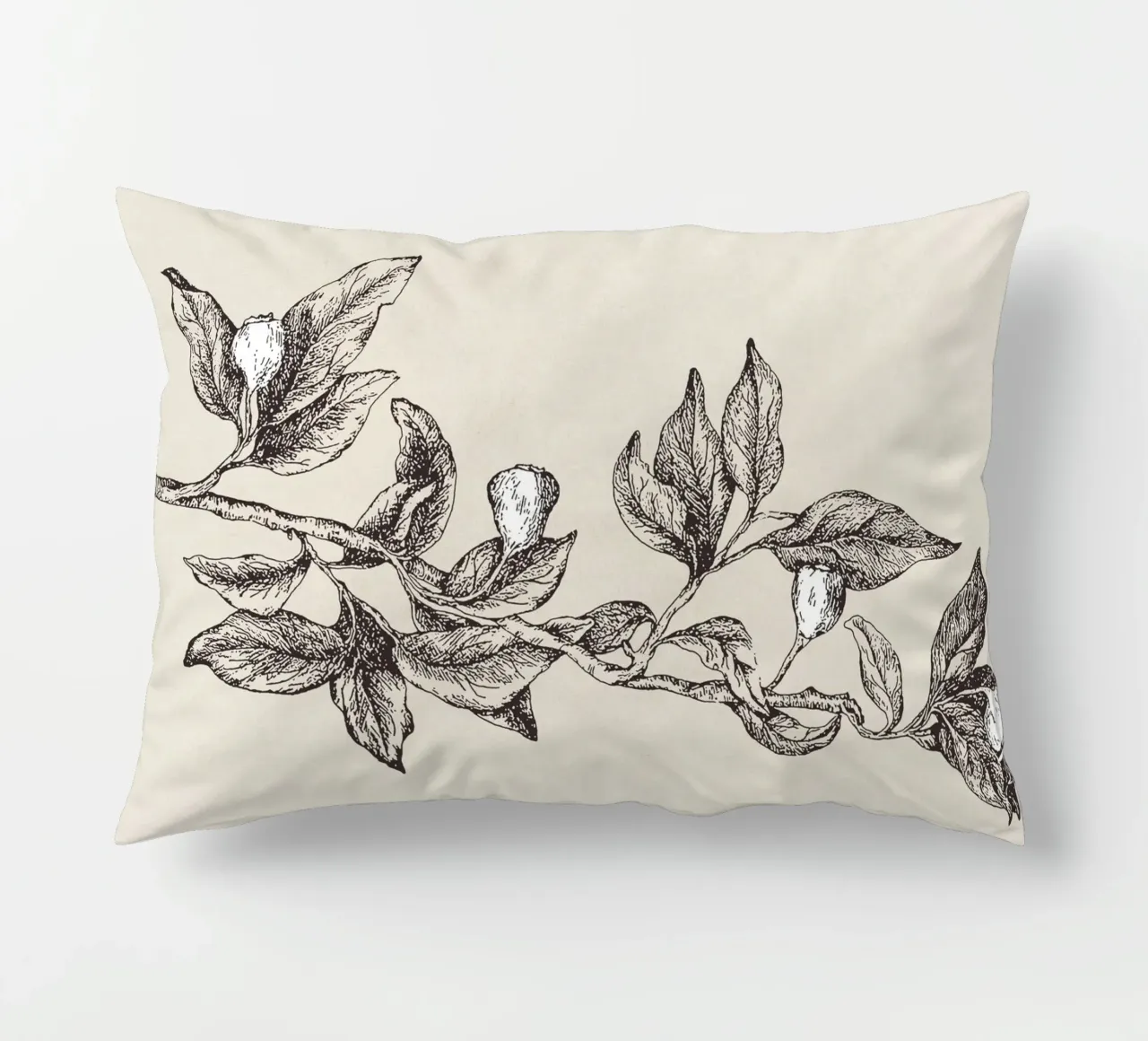 Pyrularia Botanical Sketch cuscino da apoloprints
