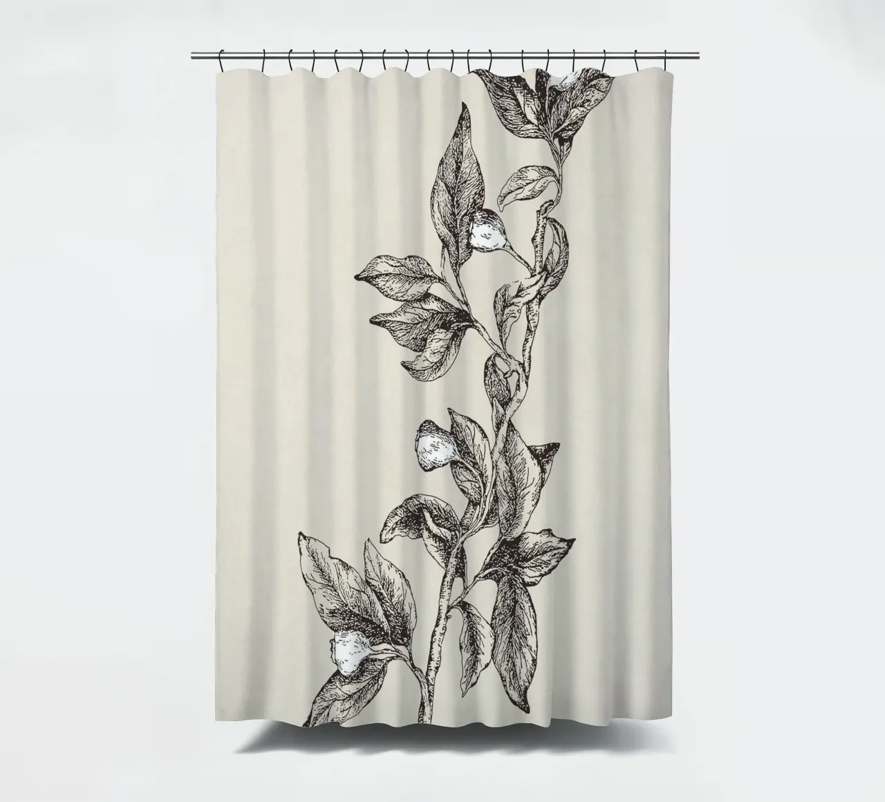 Pyrularia Botanical Sketch tenda da doccia da apoloprints