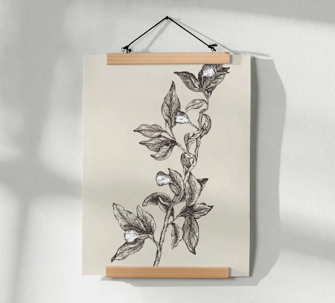 Pyrularia Botanical Sketch carta hahnemühle da apoloprints
