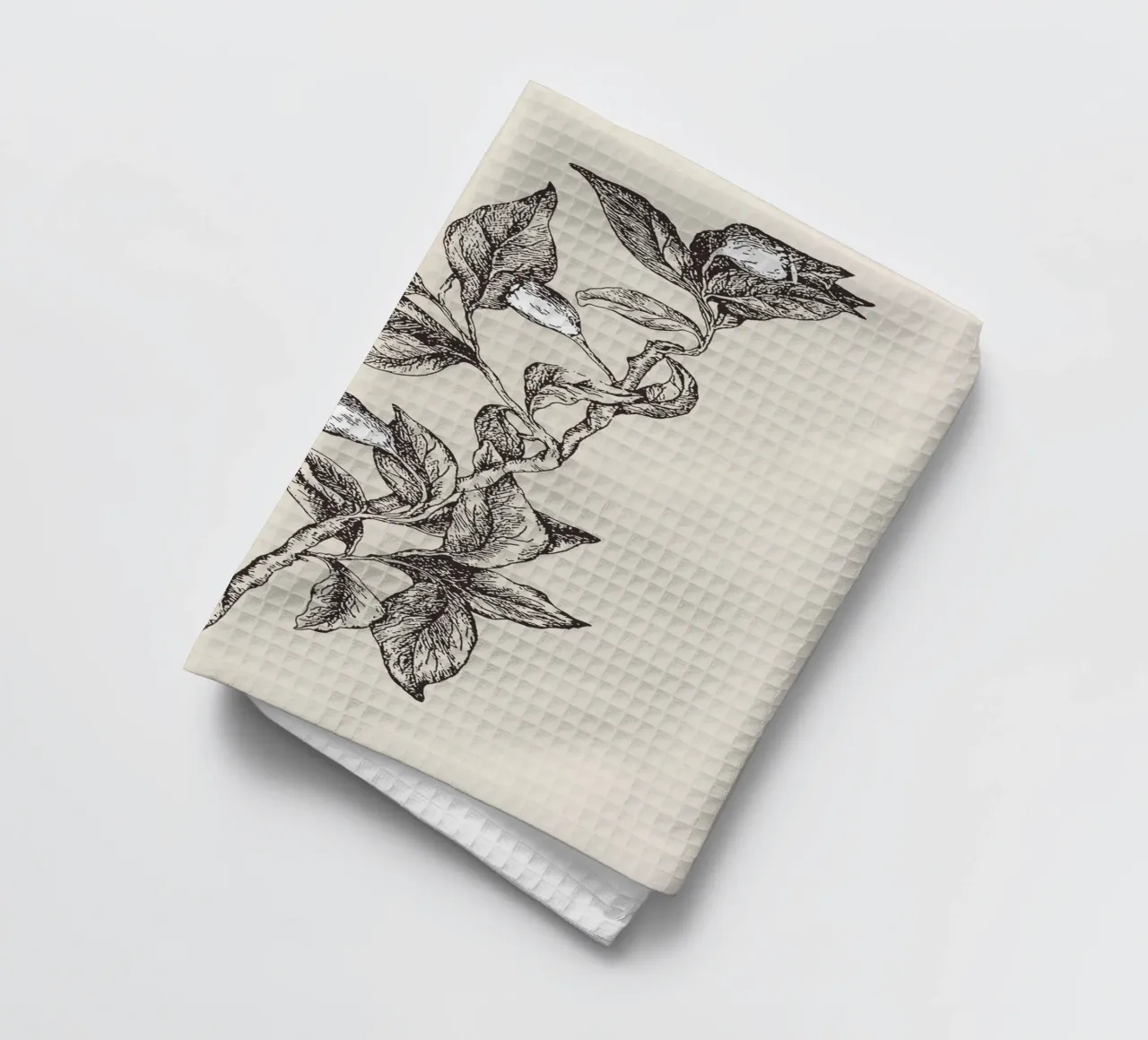 Pyrularia Botanical Sketch canovaccio da cucina da apoloprints