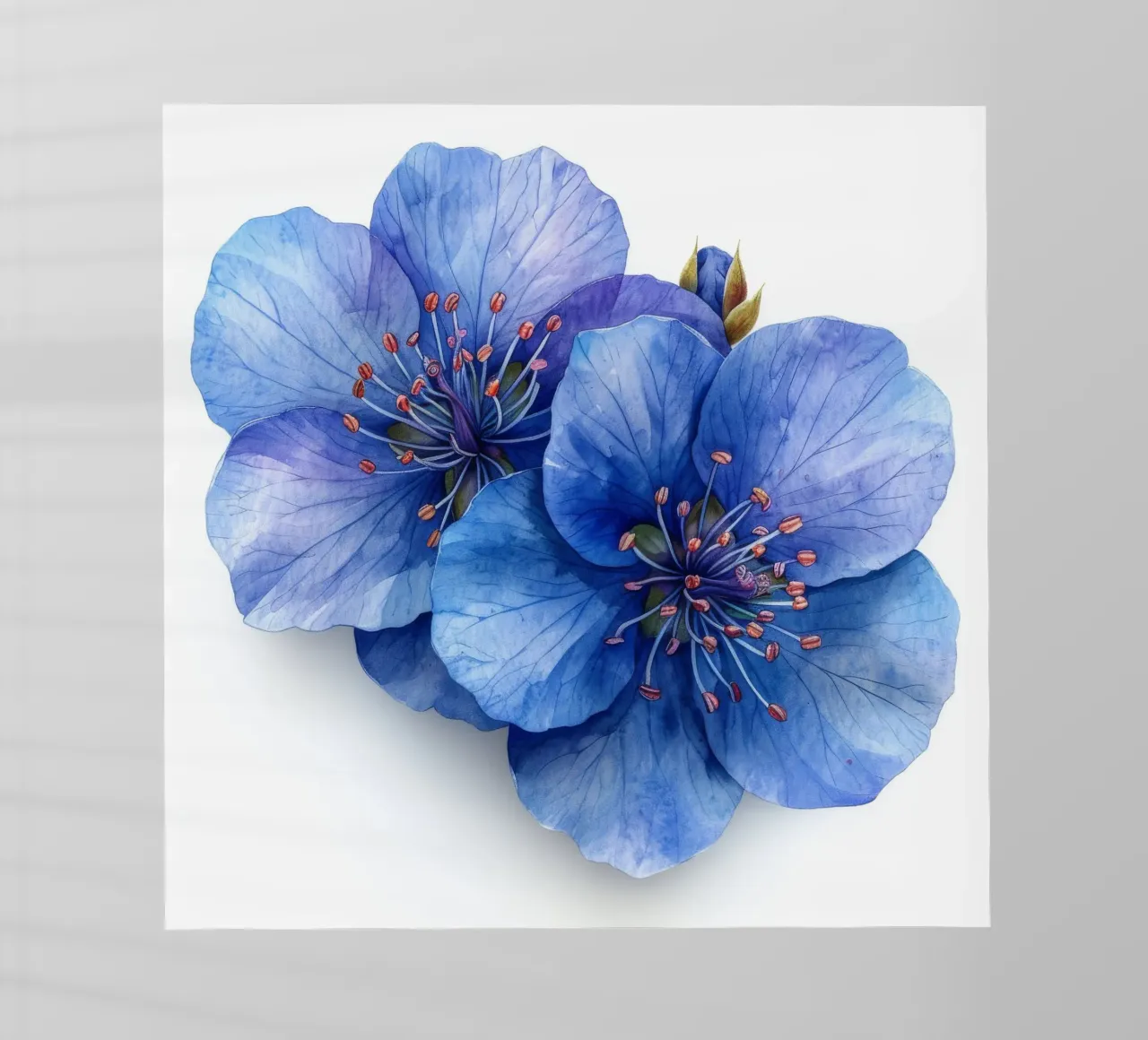 Jacobs Ladder Fiore 1 pellicola backlit da Bold Blooms