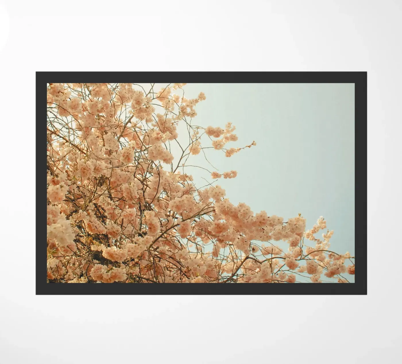 Spring is Here Fußmatte von Cassia Beck Photography