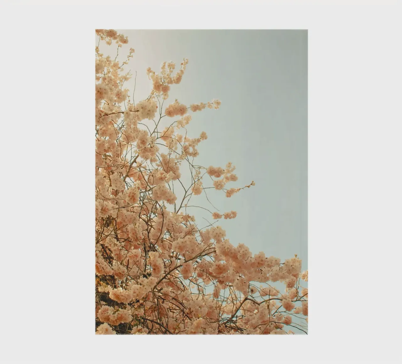 Der Frühling ist da Notizbuch von Cassia Beck Photography