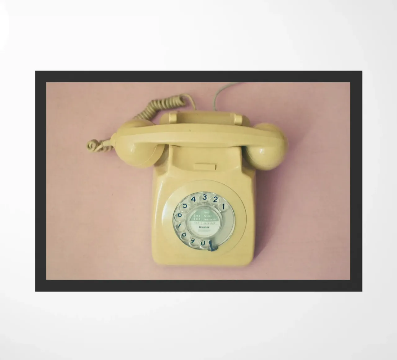 Ciao zerbino da Cassia Beck Photography