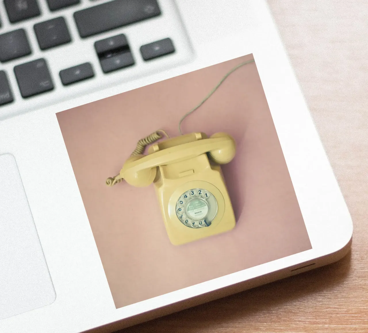 Hello sticker by Cassia Beck Photography