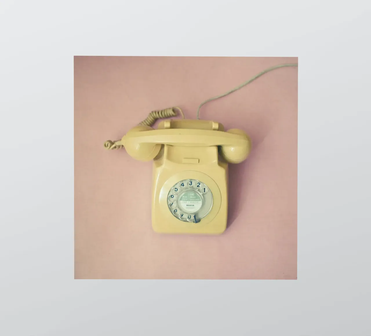 Hello sticker by Cassia Beck Photography