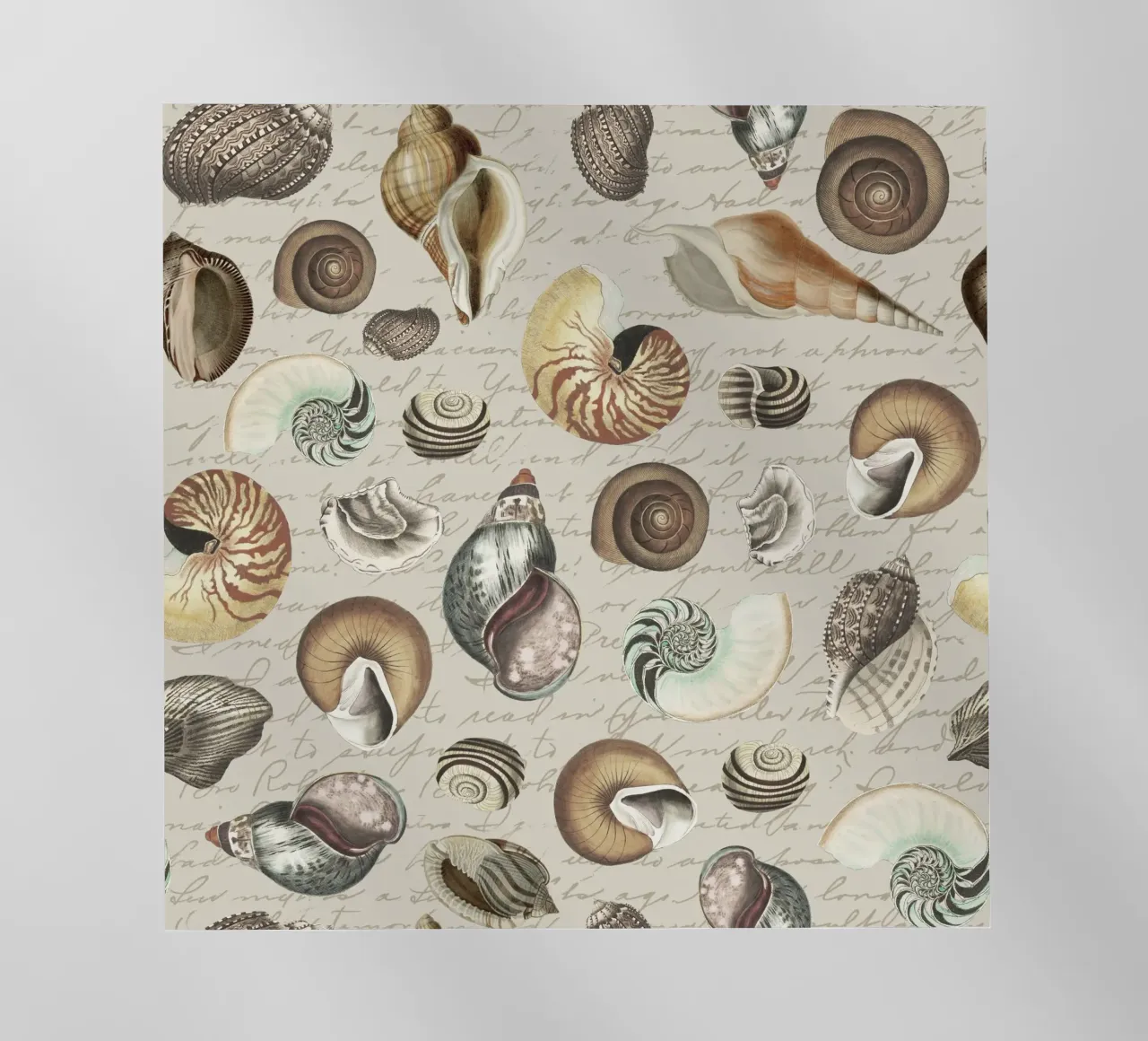 Conchiglie nostalgiche Beige pellicola backlit da Andrea Haase Vintage World